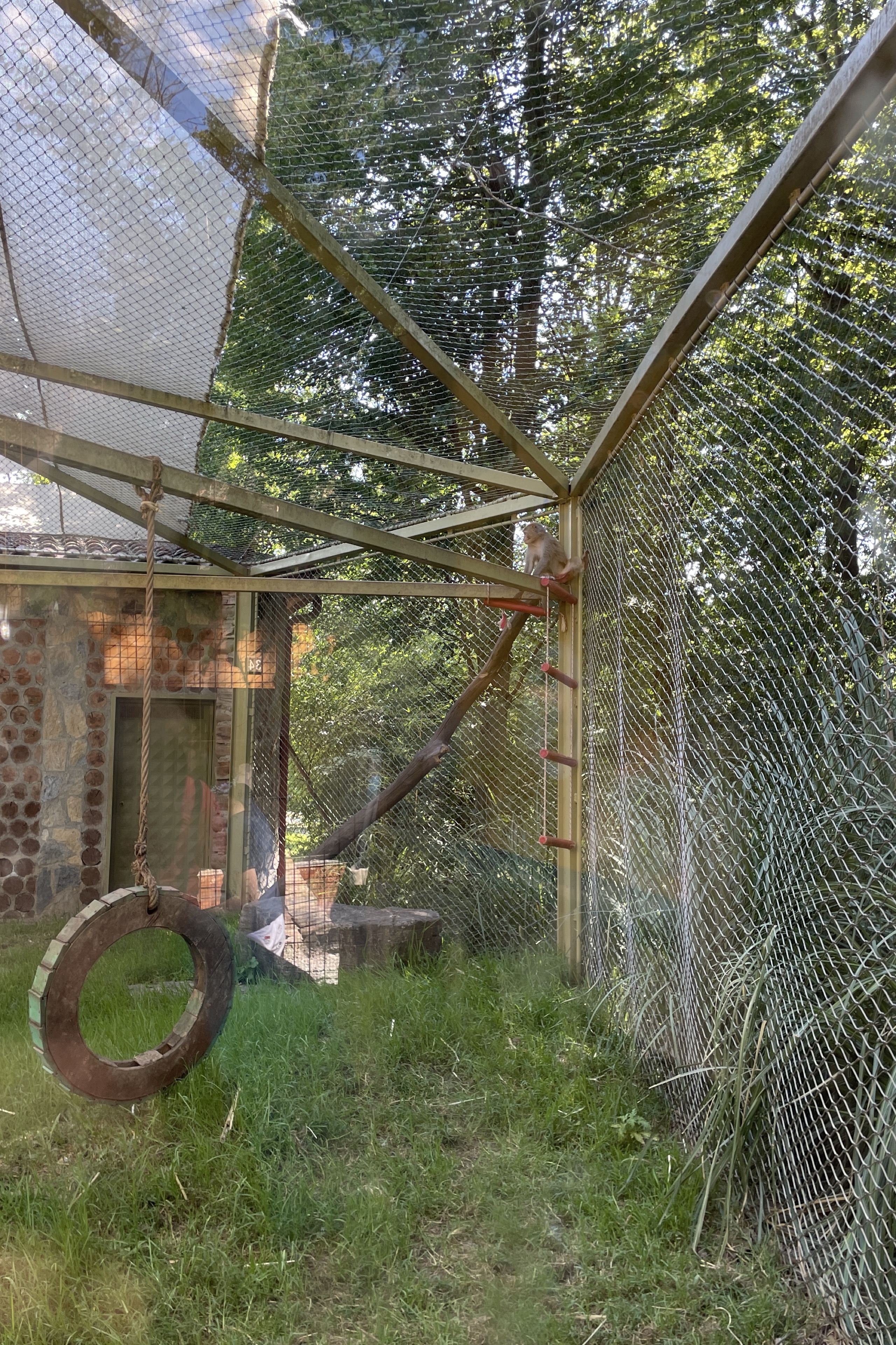 Mustafa Karatas — photo 3 on Lushme