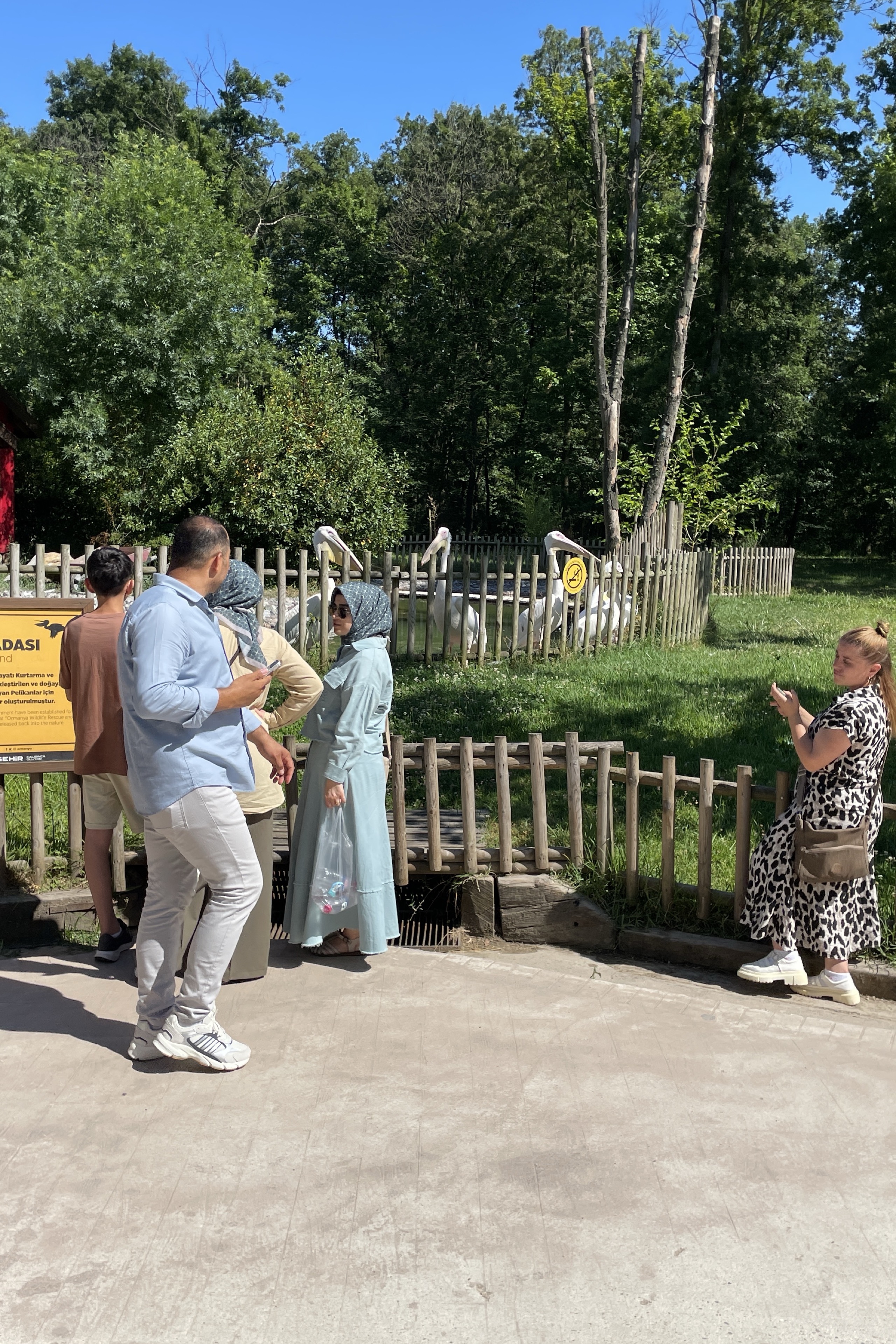 Mustafa Karatas — photo 4 on Lushme