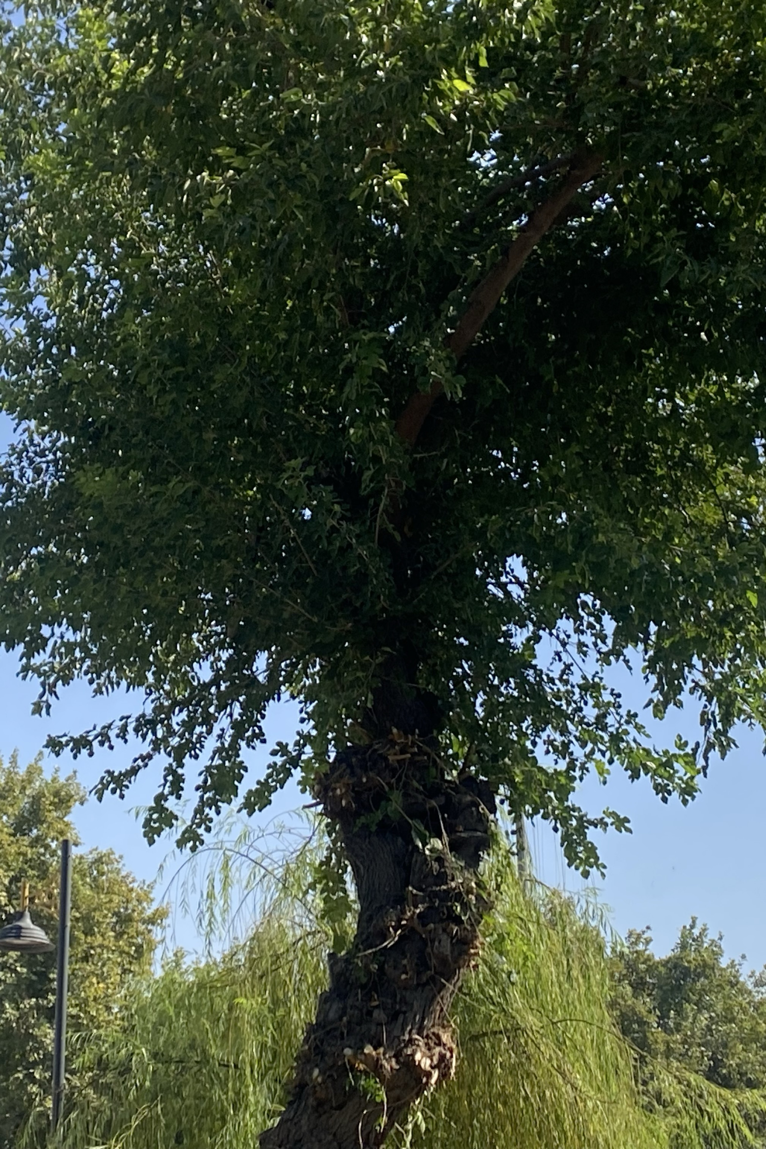 Ali Akbaş — photo 2 on Lushme