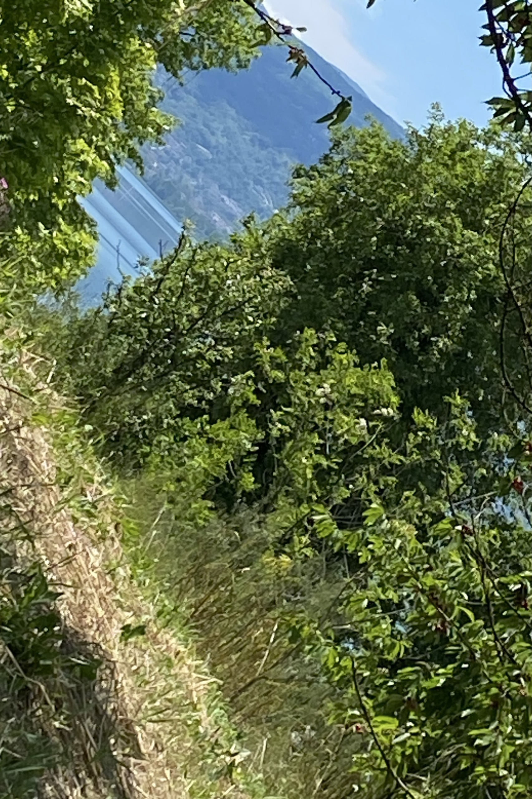 Kenan Çobanoğlu — photo 3 on Lushme