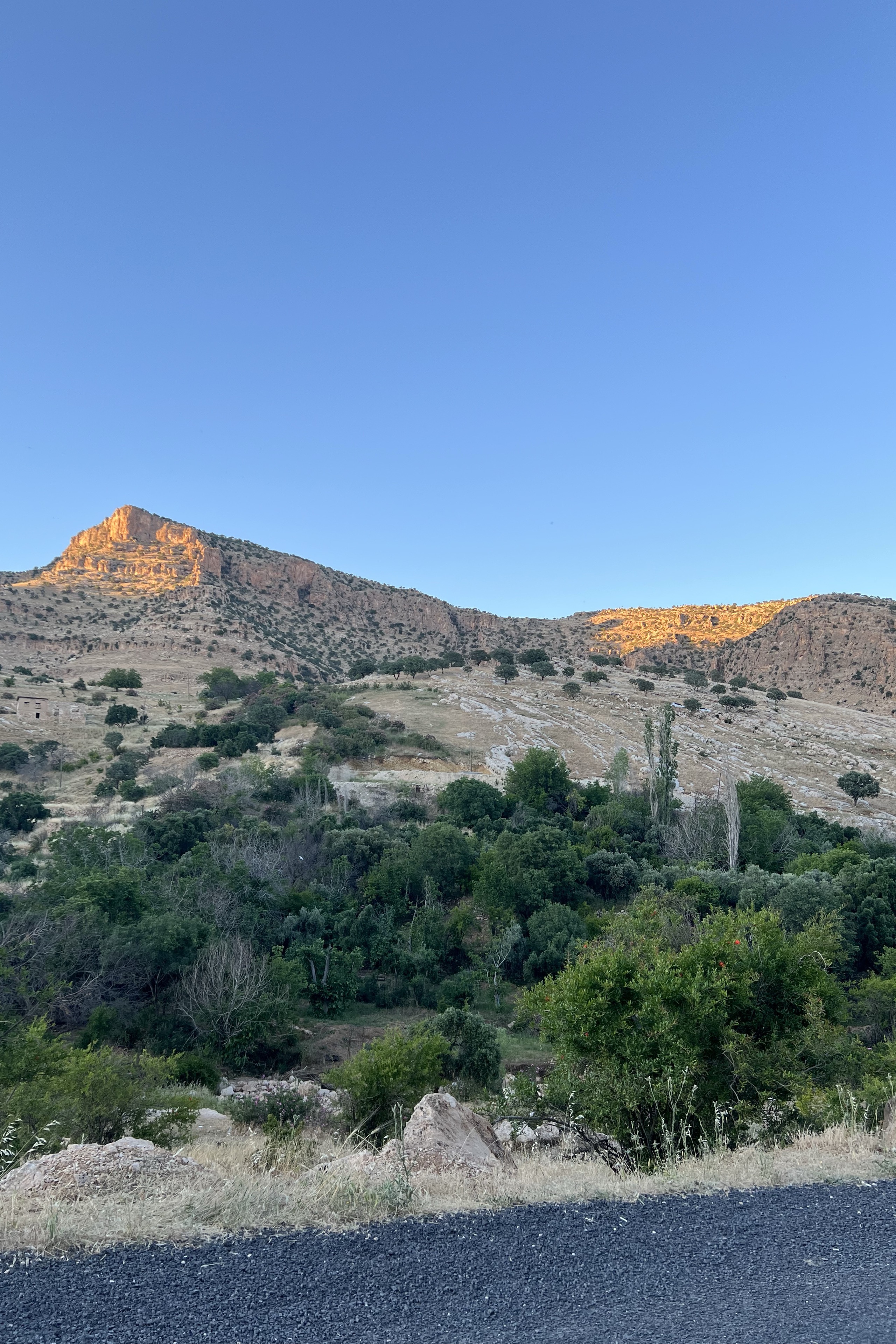Doğan Kurt — photo 3 on Lushme