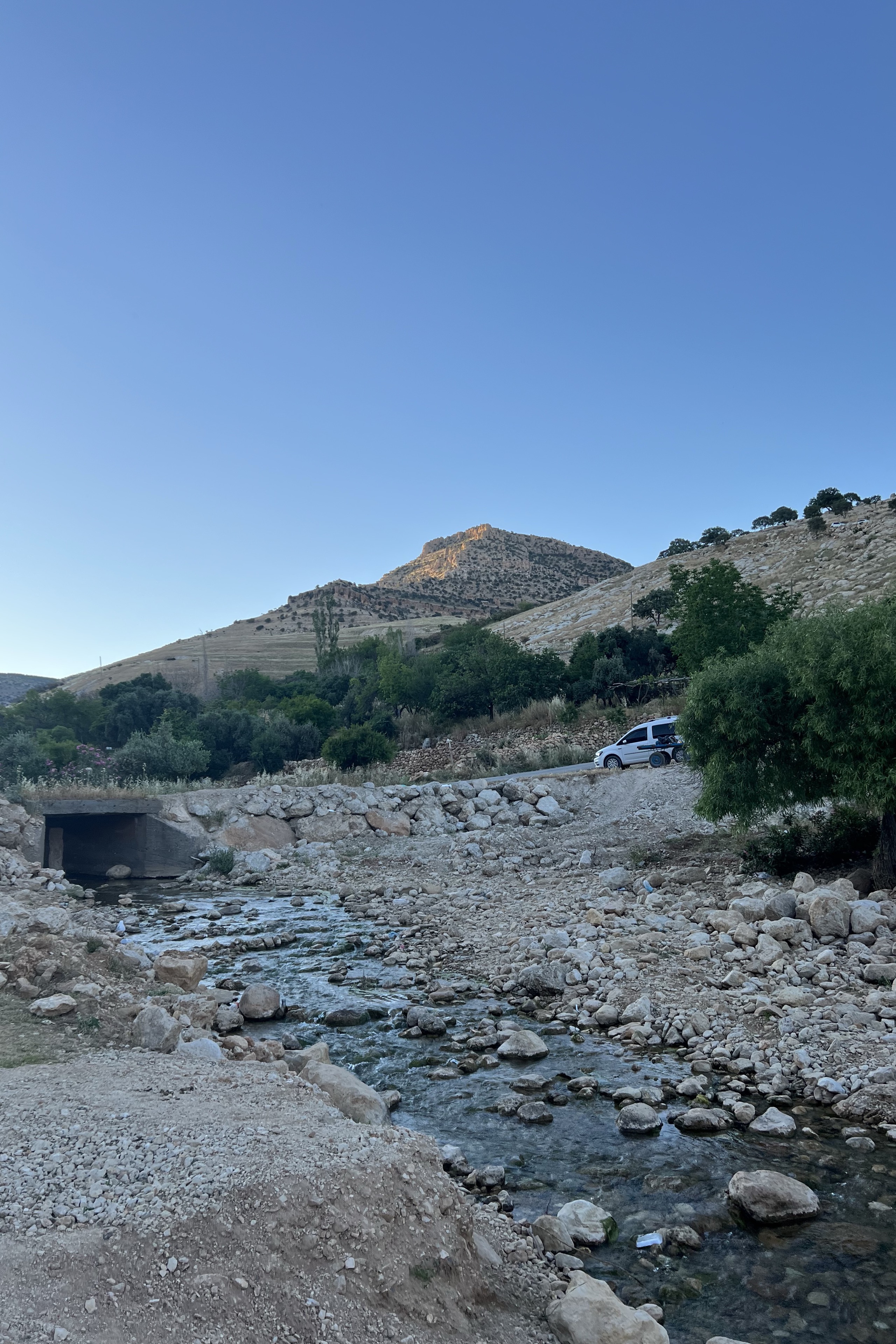 Doğan Kurt — photo 4 on Lushme