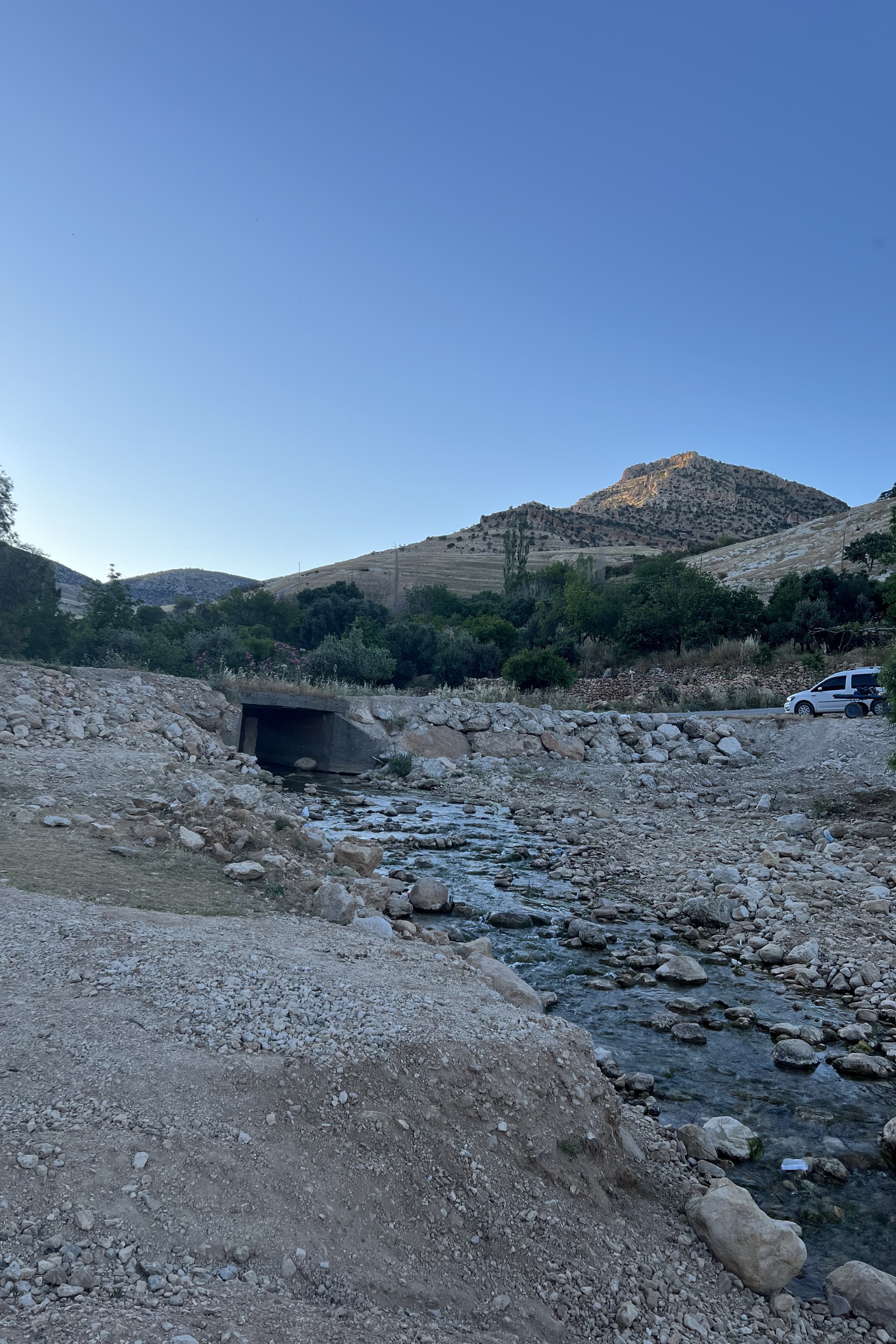 Doğan Kurt — photo 6 on Lushme