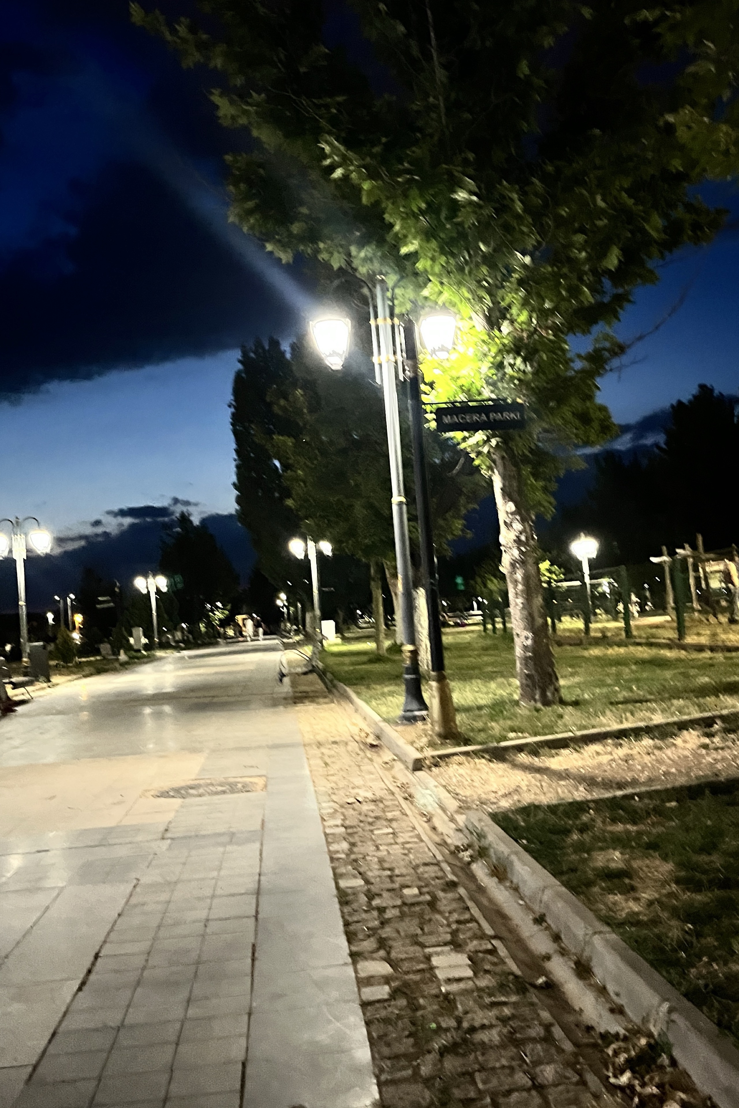 Gül — photo 4 on Lushme
