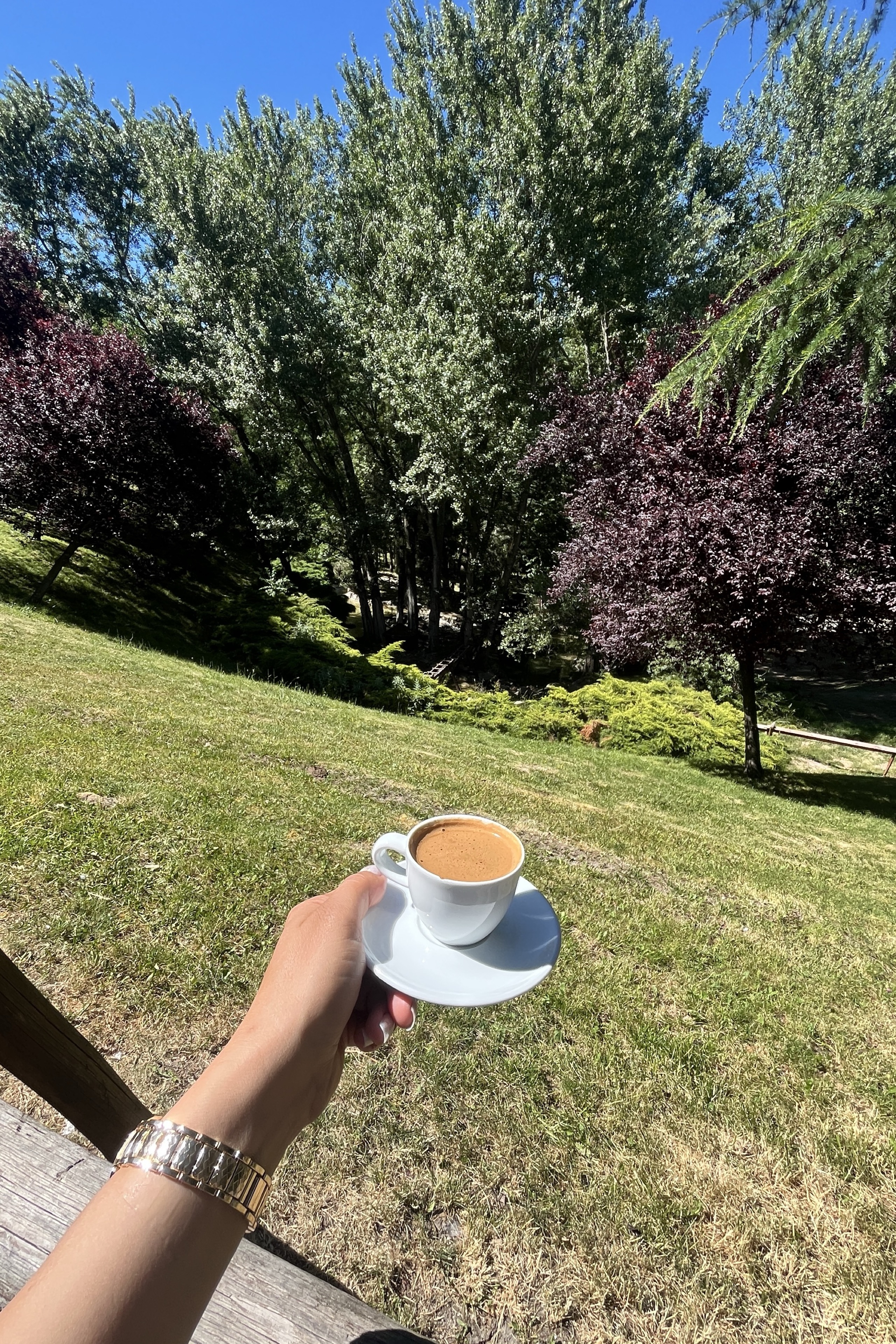 Gül — photo 5 on Lushme