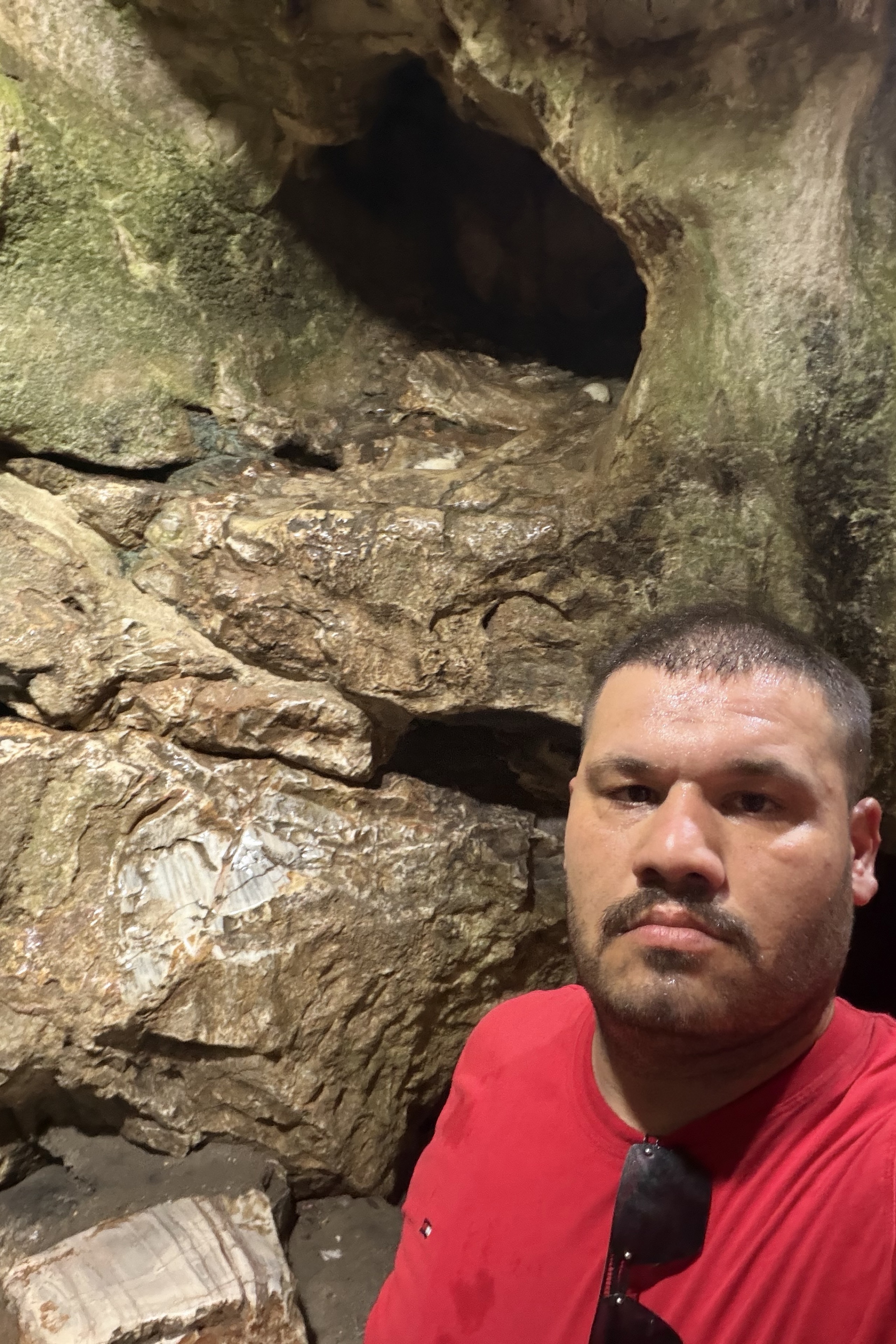 Mehmet Alan — photo 2 on Lushme