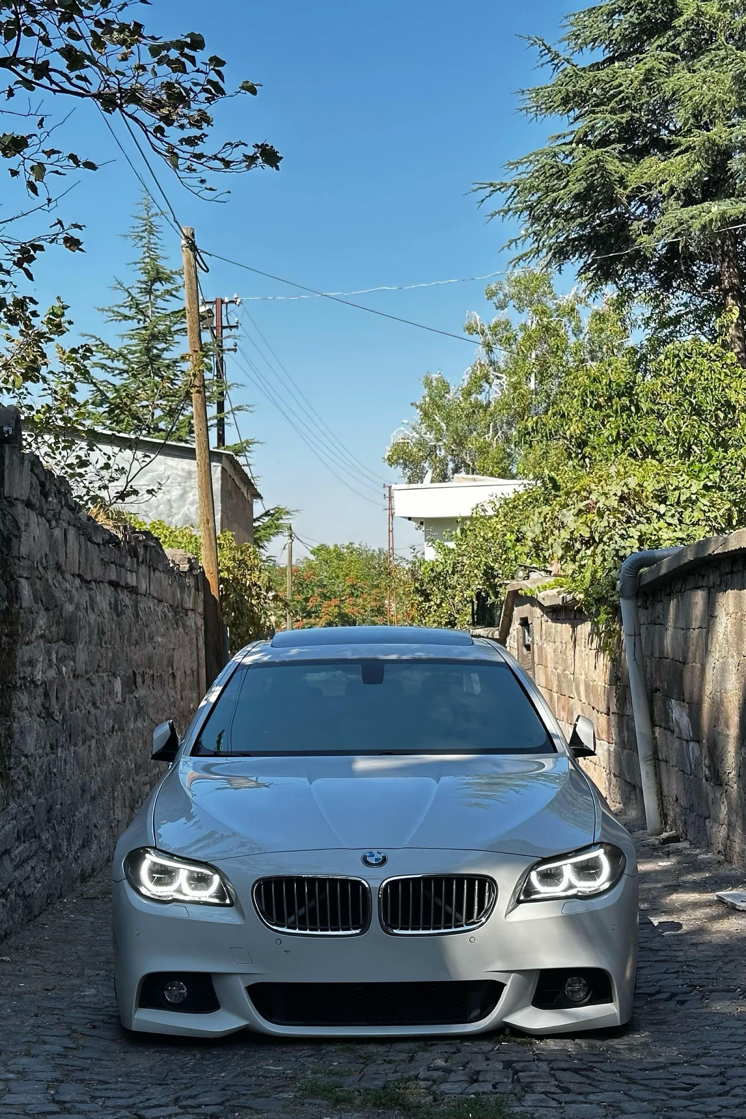 Alpyist Akay — photo 2 on Lushme
