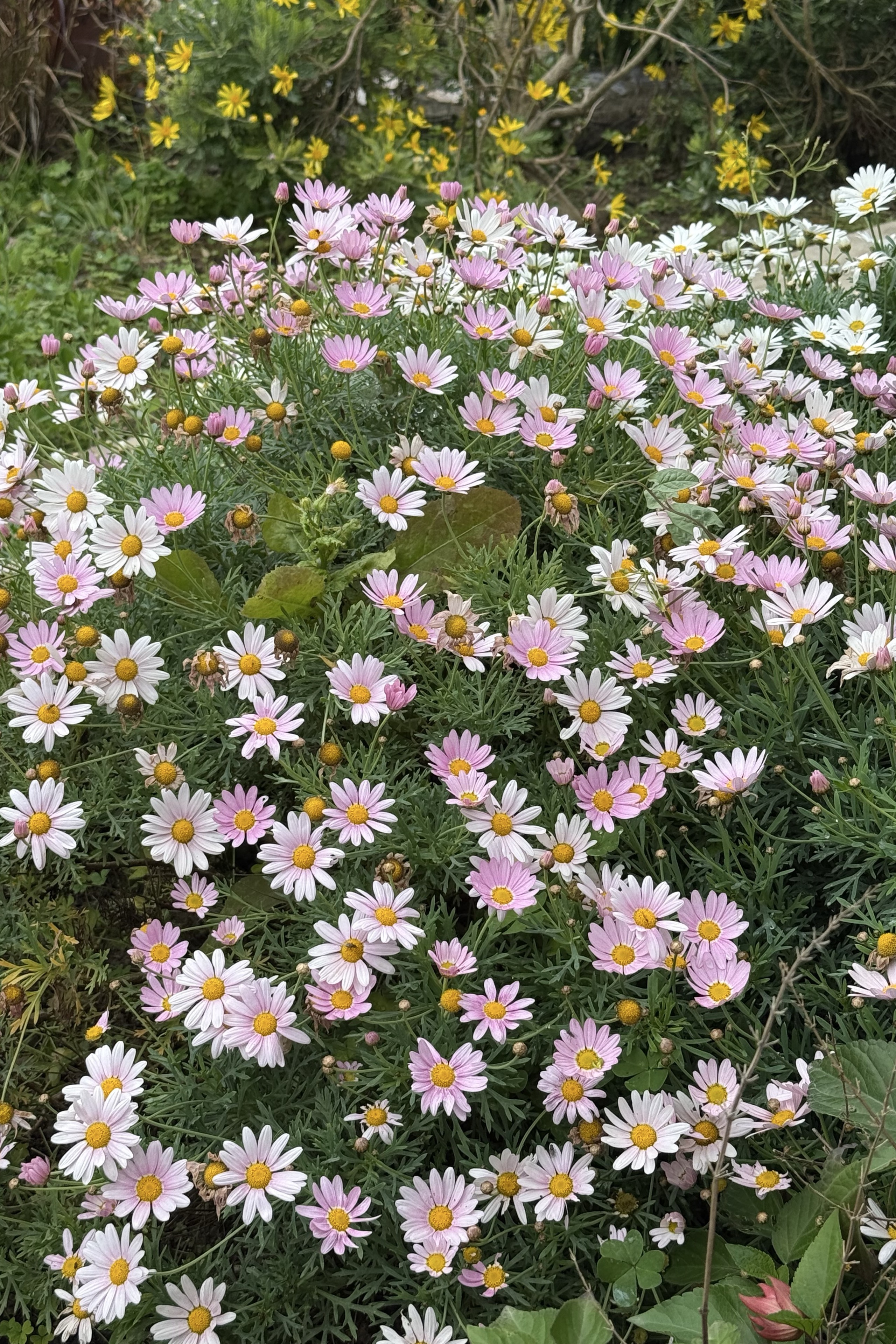 Selim Ulutaş — photo 2 on Lushme