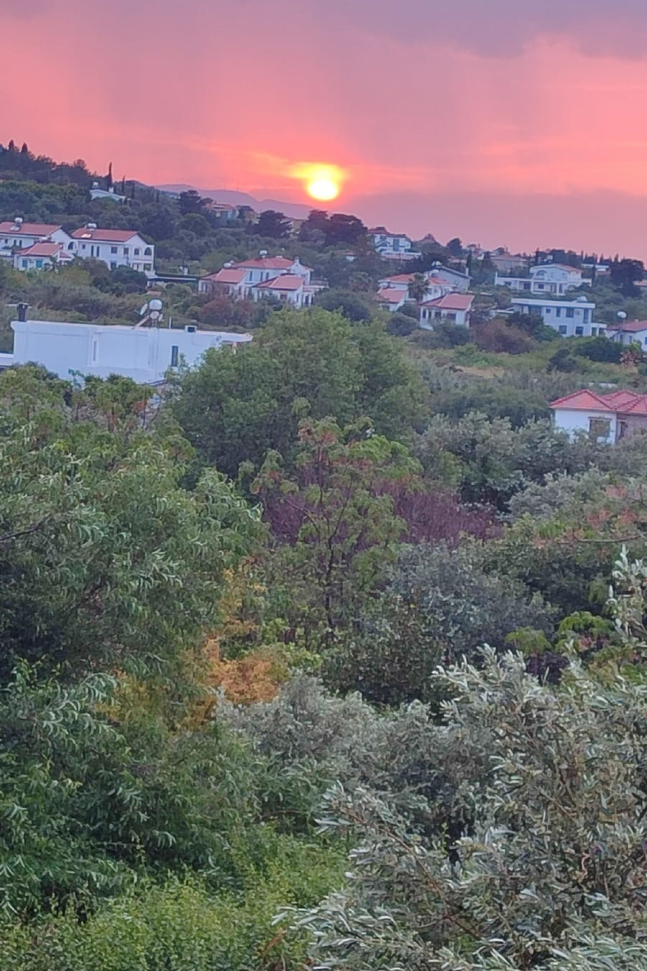 Selim Ulutaş — photo 4 on Lushme