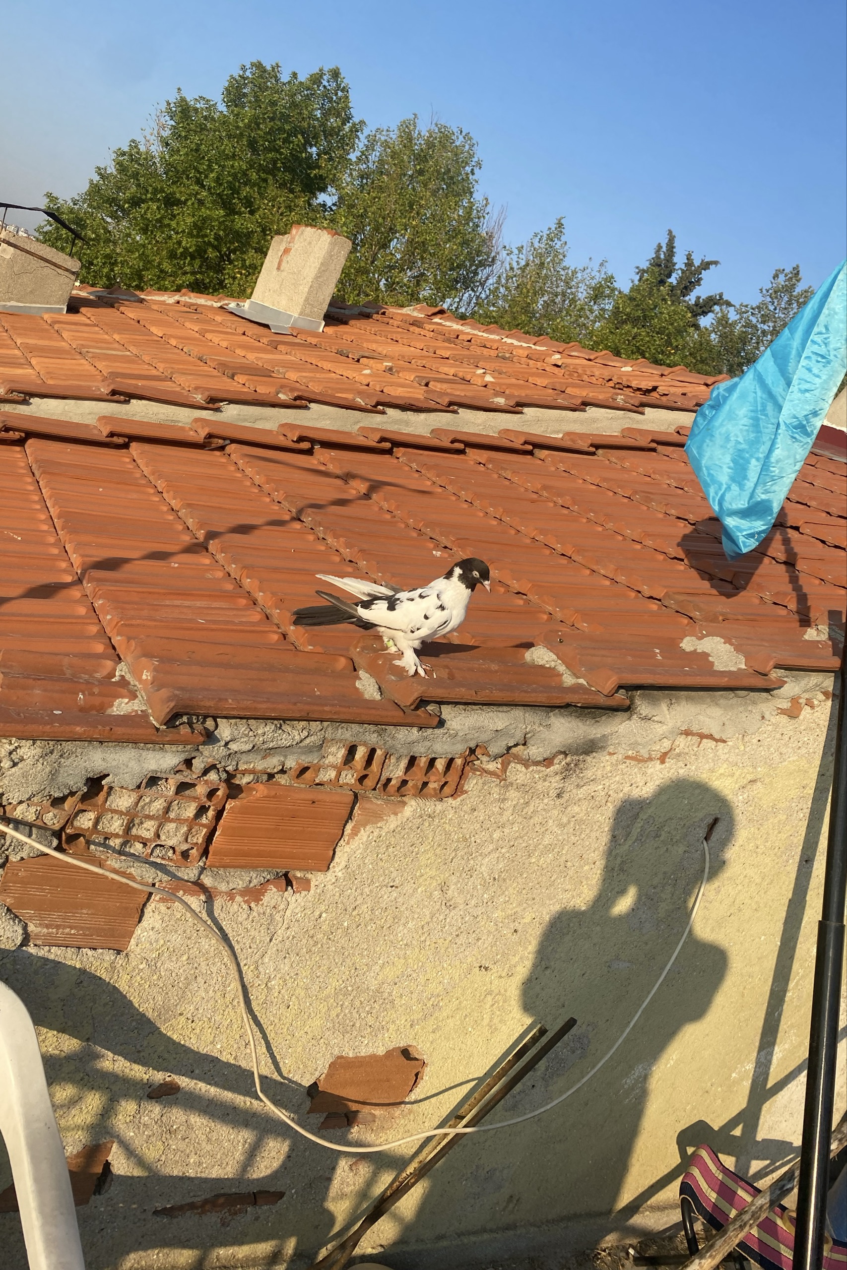 Kaan — photo 6 on Lushme