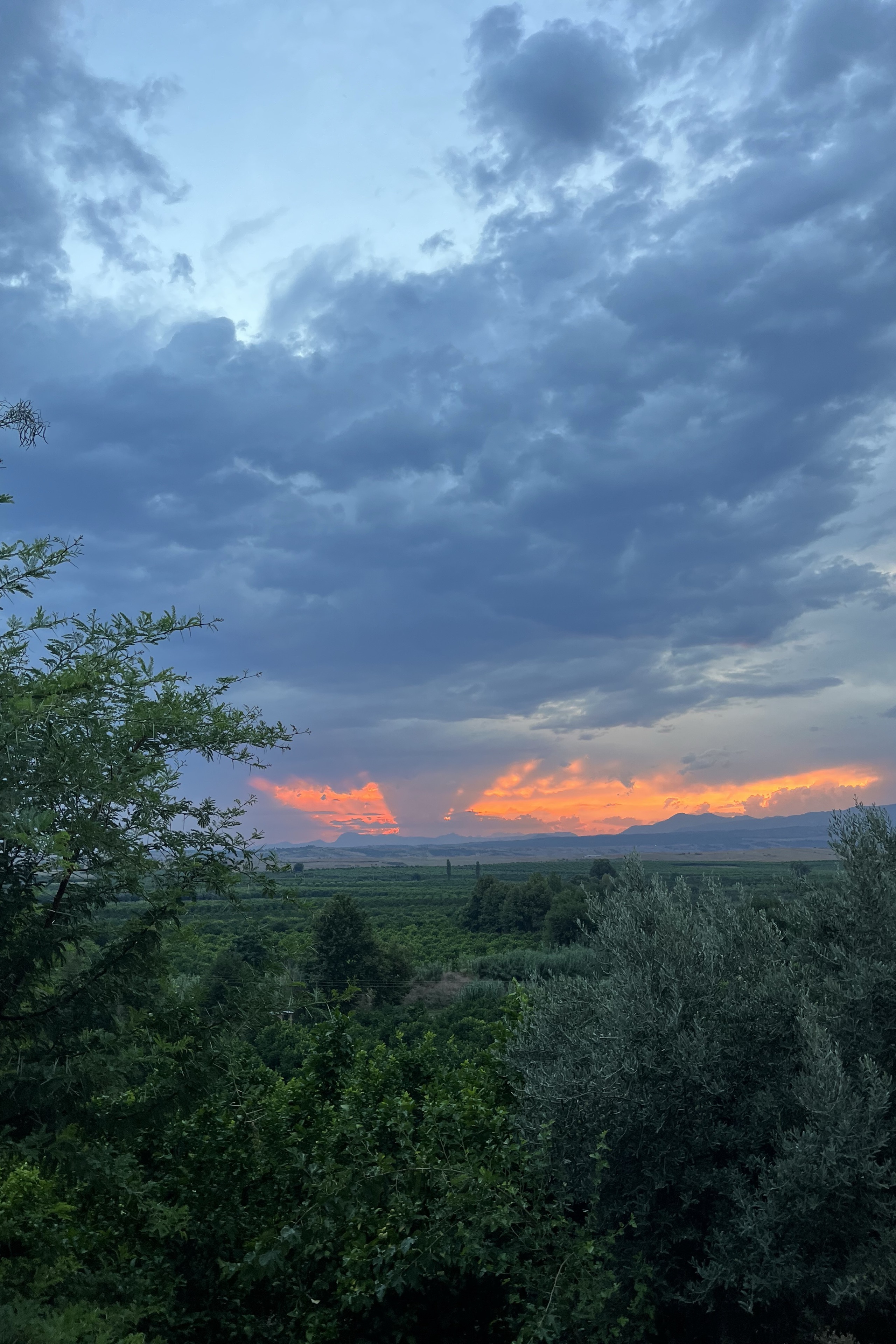 Mehmett — photo 5 on Lushme
