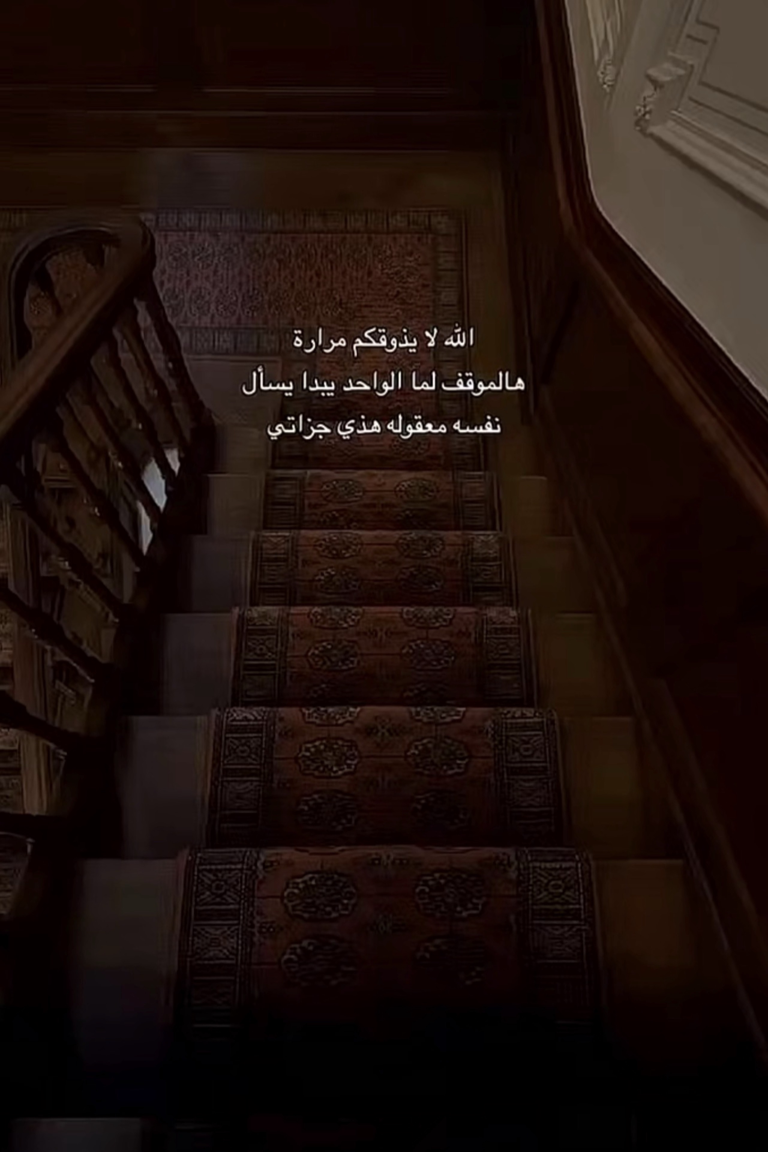 فارس — photo 3 on Lushme