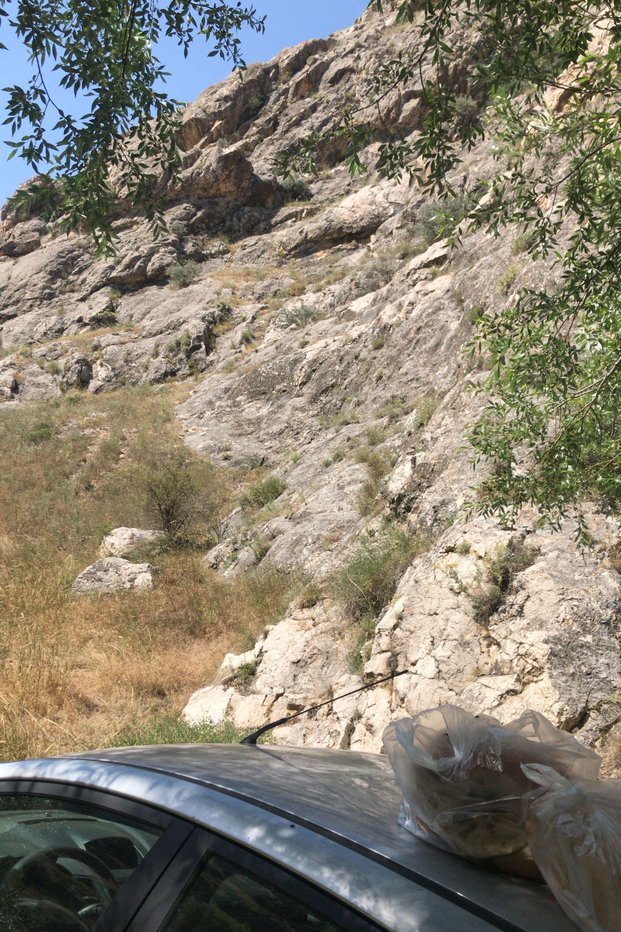 Mesut Karabacak — photo 4 on Lushme