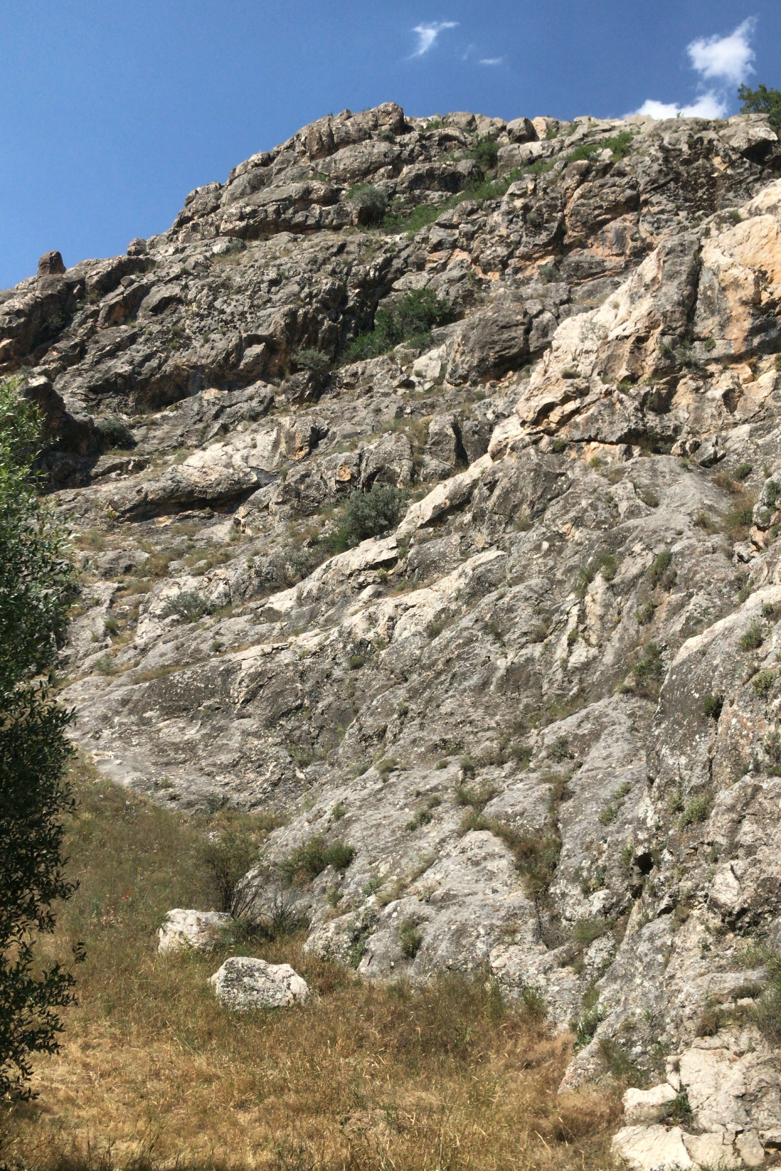 Mesut Karabacak — photo 5 on Lushme