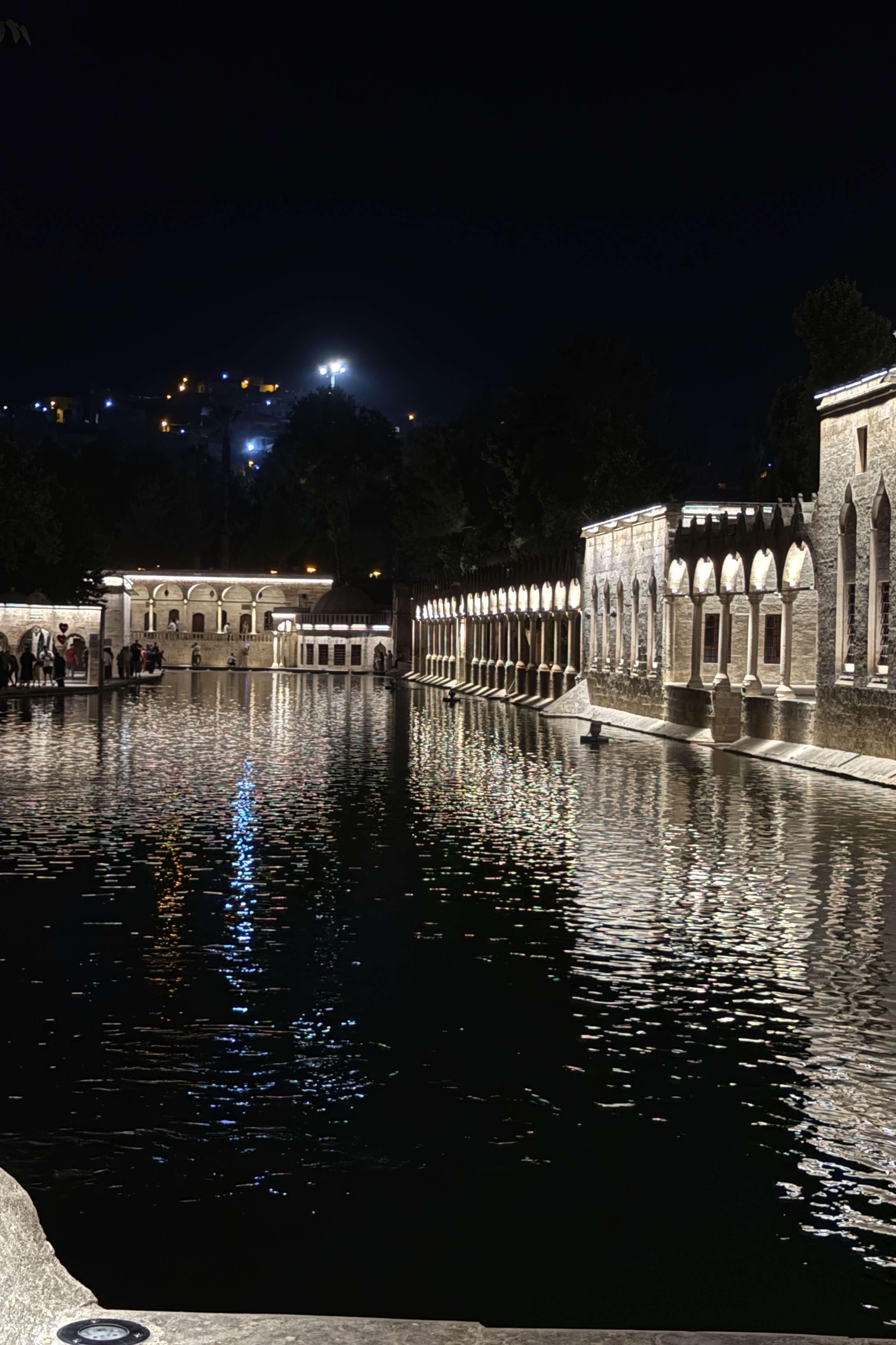 Apo — photo 4 on Lushme