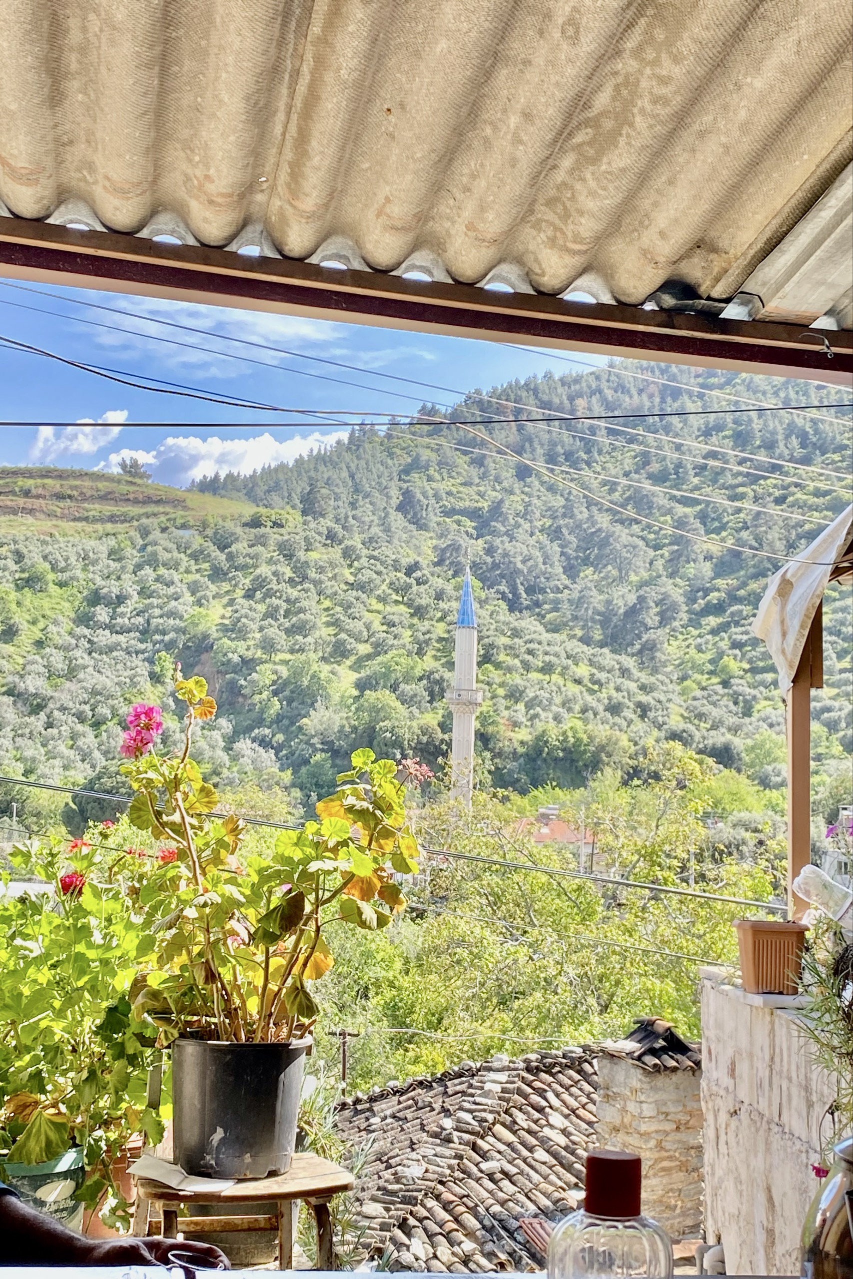 Muhammet Özdemir — photo 4 on Lushme