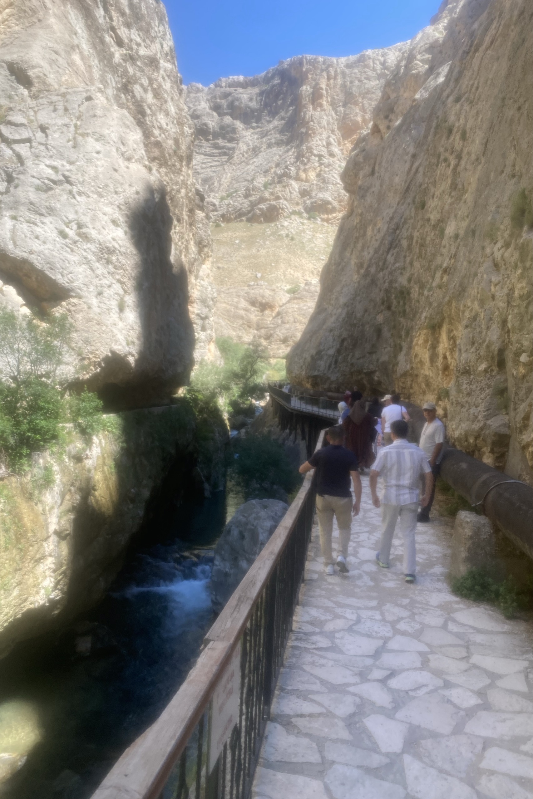 Metin Durgun — photo 2 on Lushme