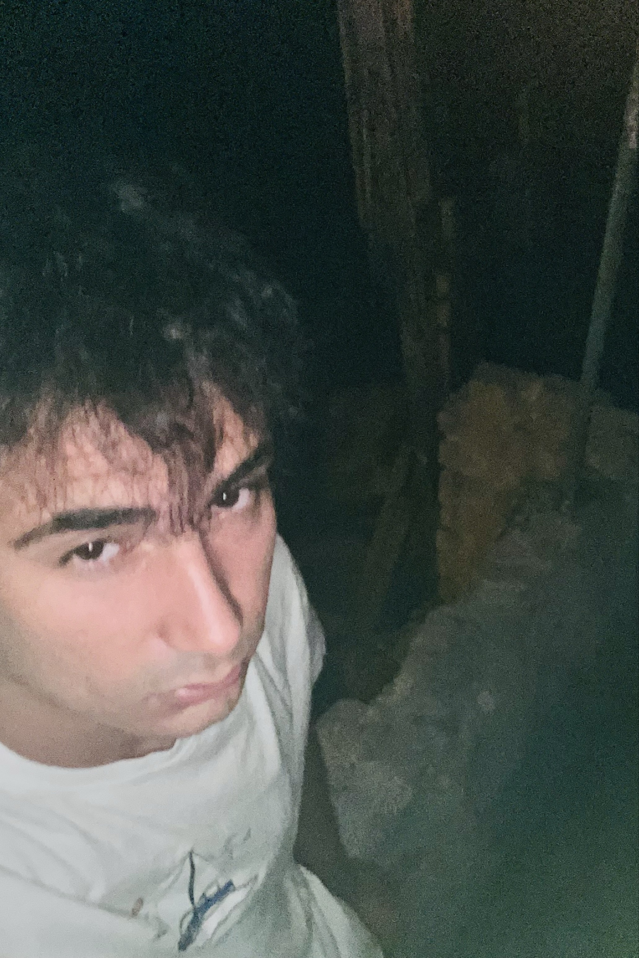 Alp — photo 3 on Lushme