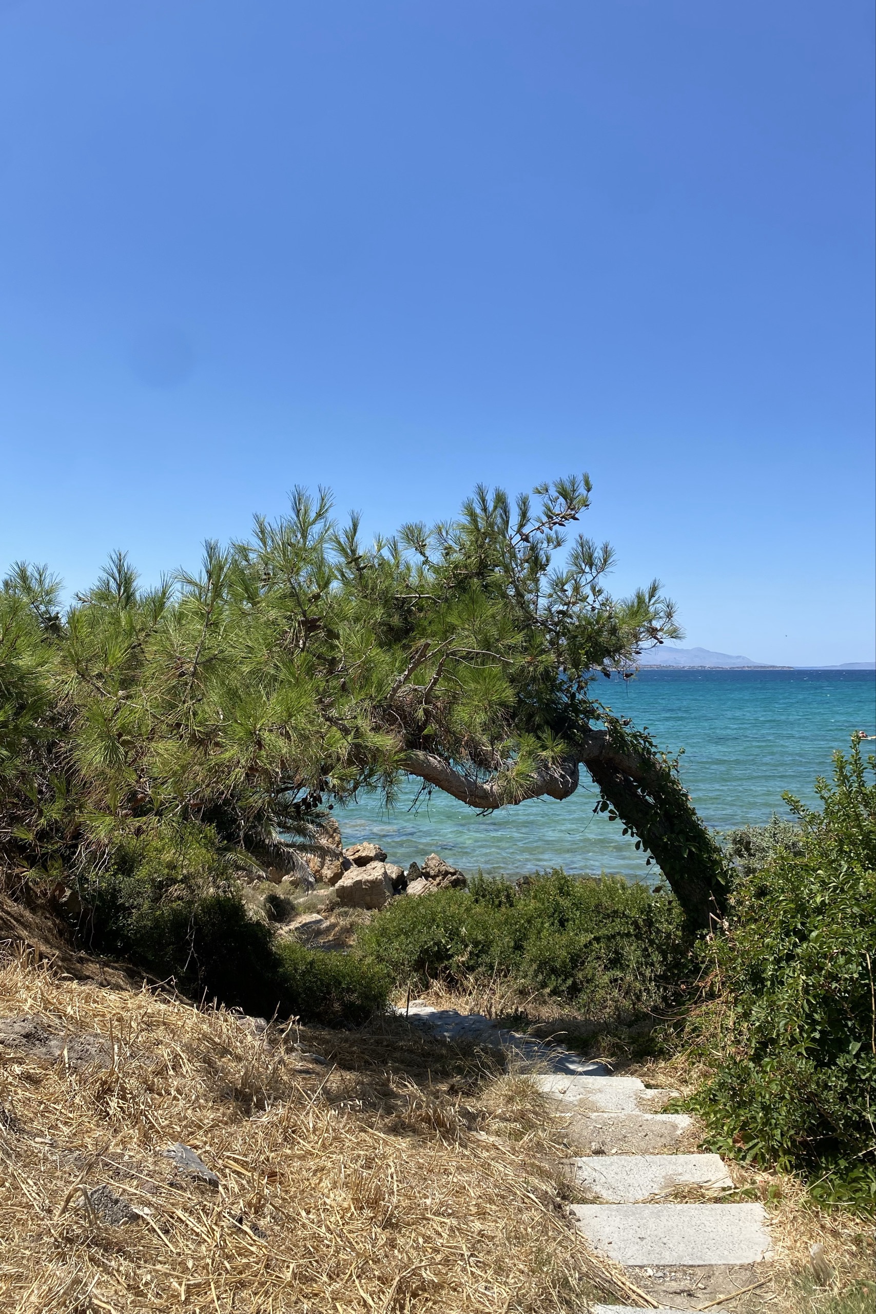 Ege Ertürk — photo 2 on Lushme