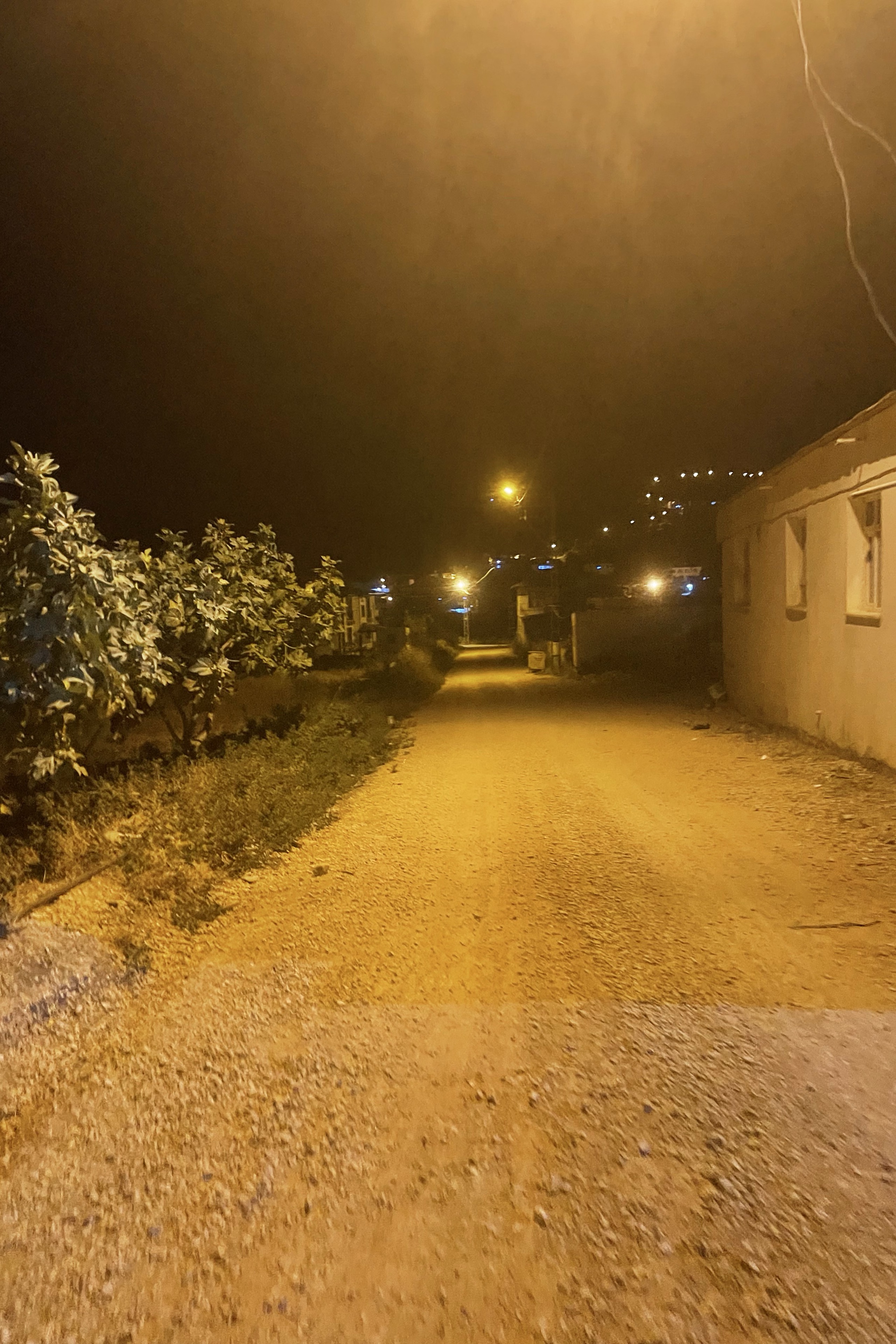 Mehmet Yiğit — photo 3 on Lushme