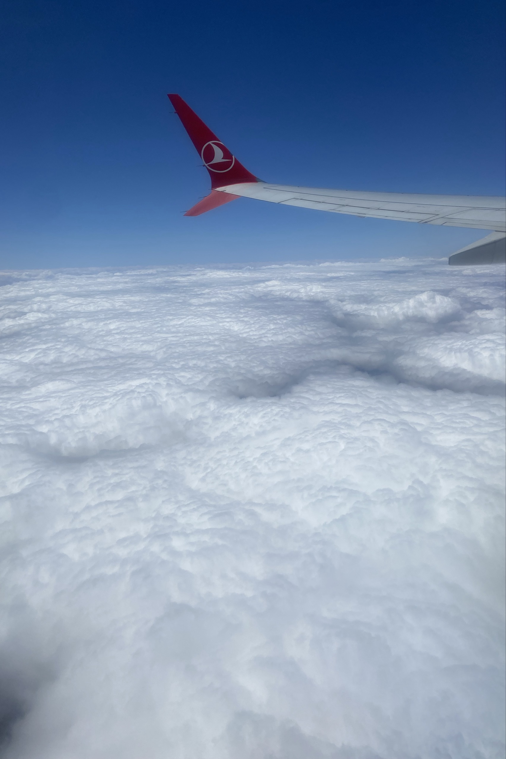 Resul Başaran — photo 3 on Lushme