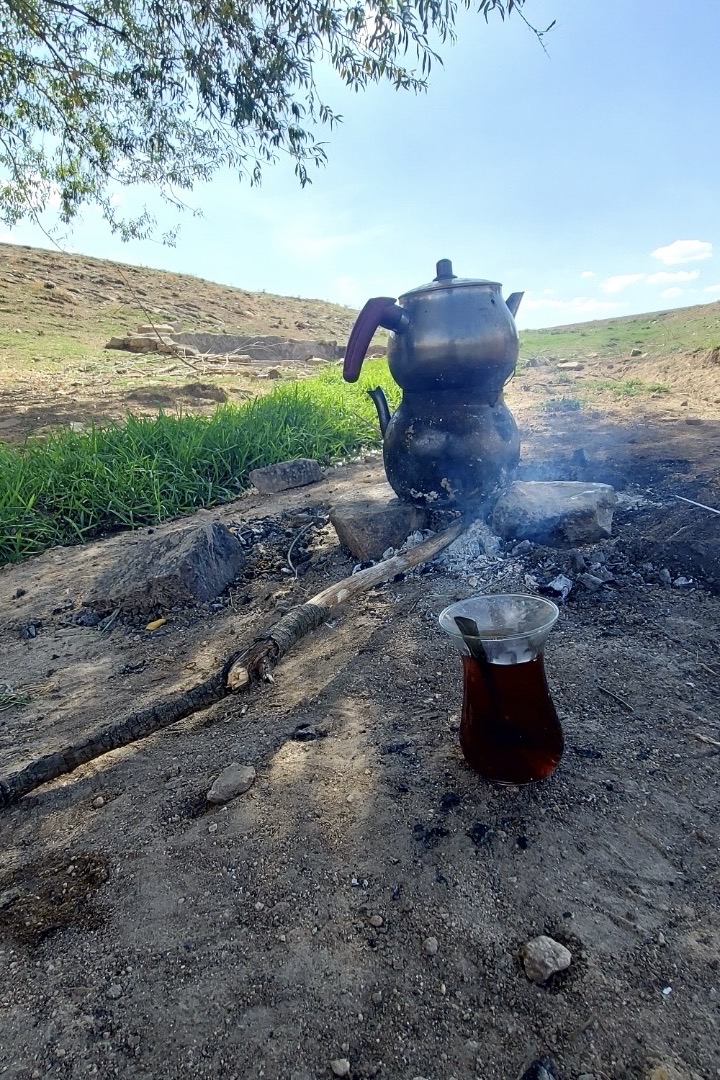 Baki Ozen — photo 3 on Lushme