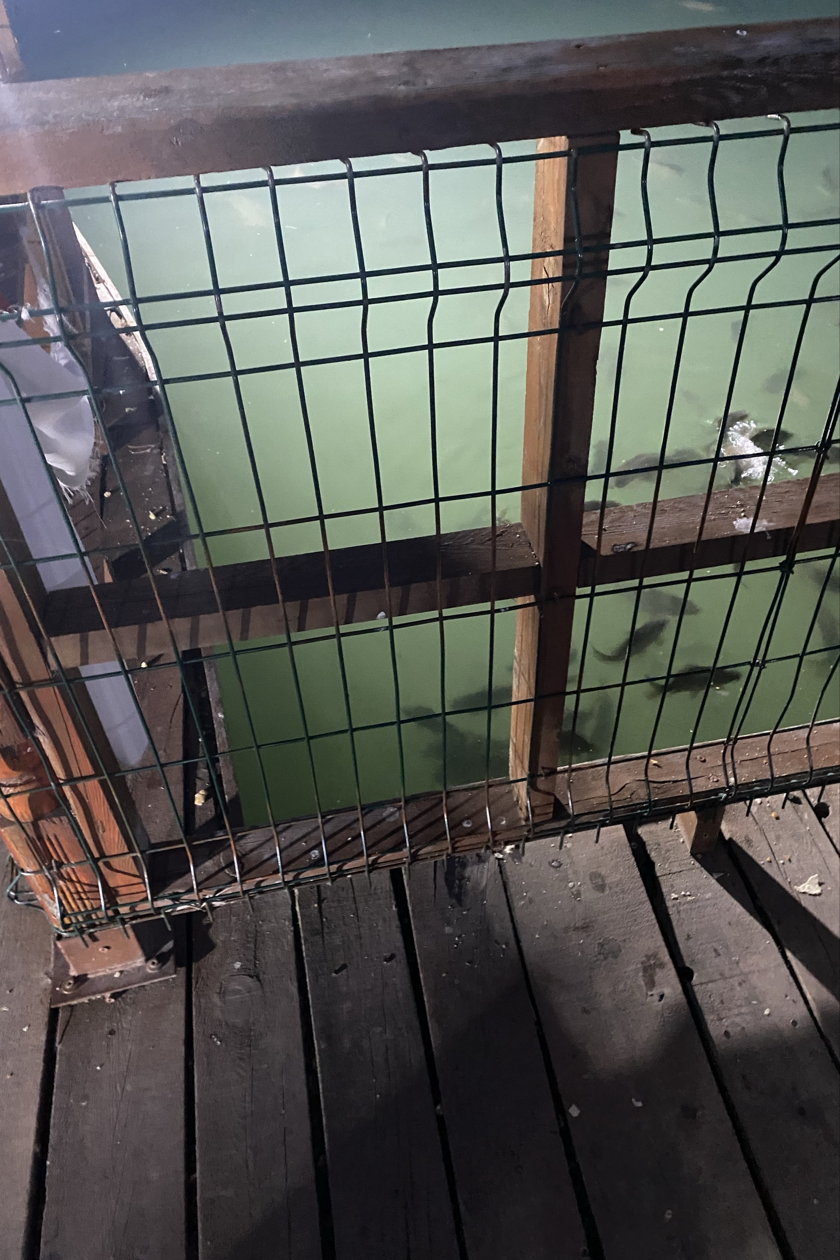 Berat Yurt — photo 2 on Lushme