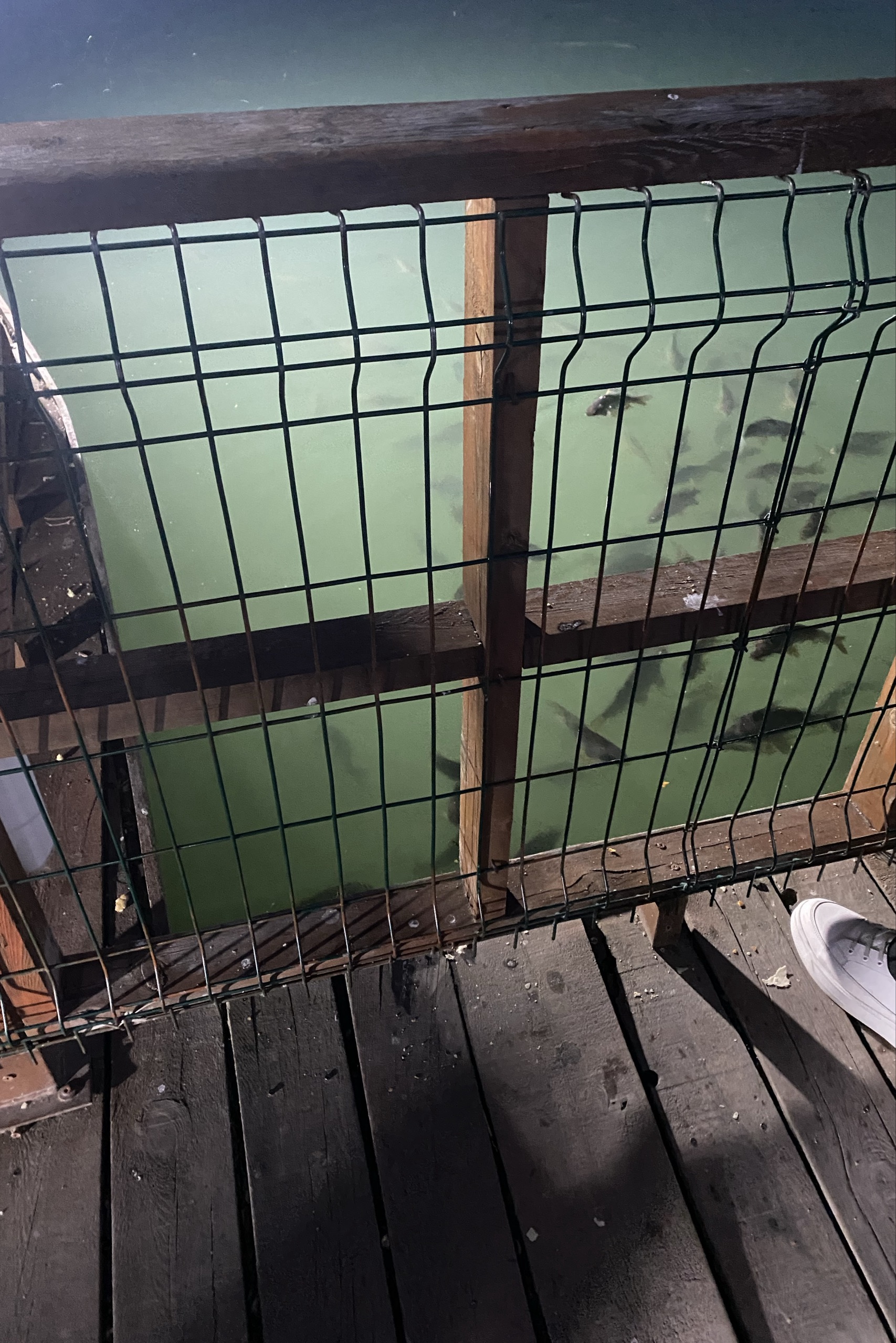 Berat Yurt — photo 3 on Lushme