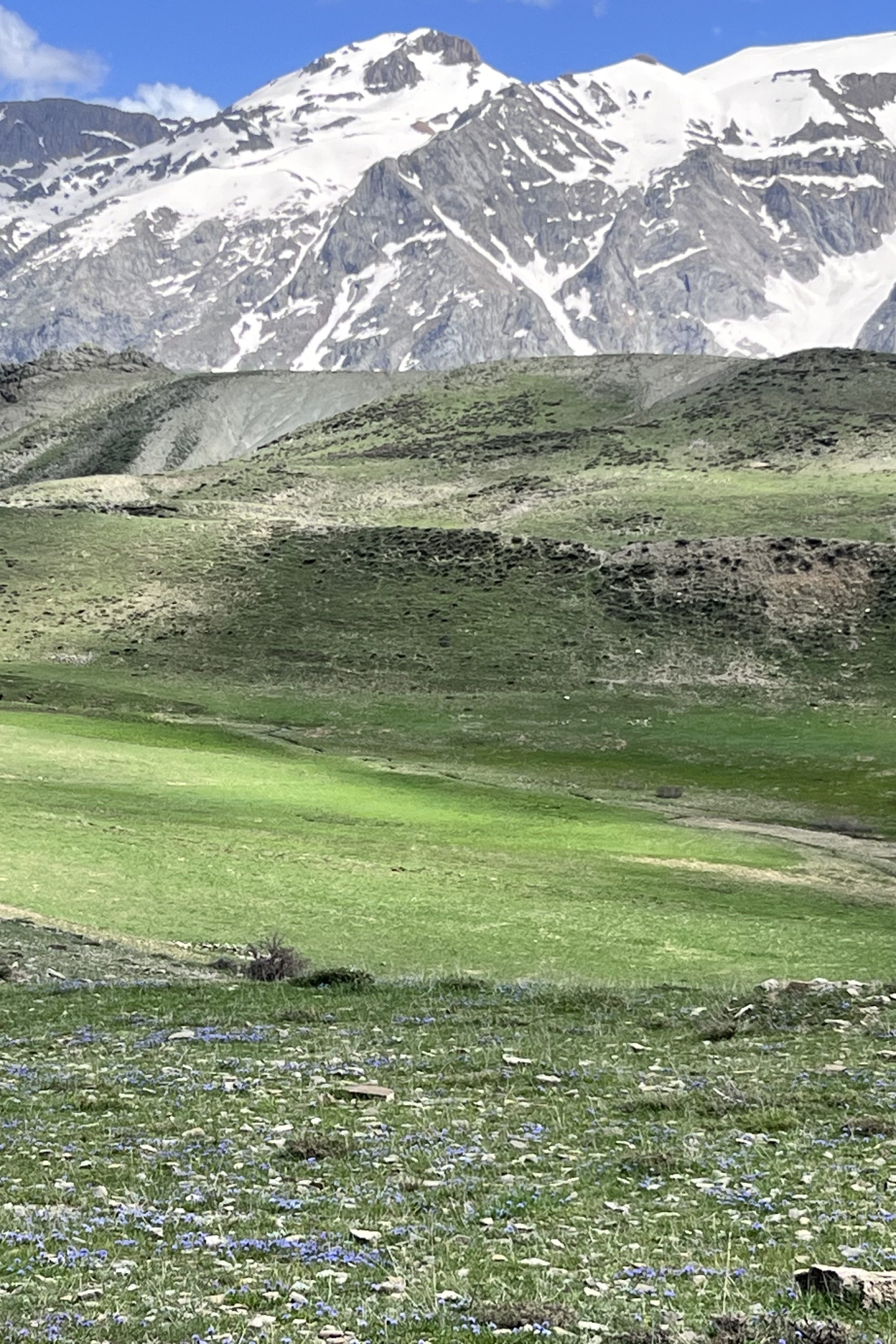 Ahmet Kalik — photo 4 on Lushme