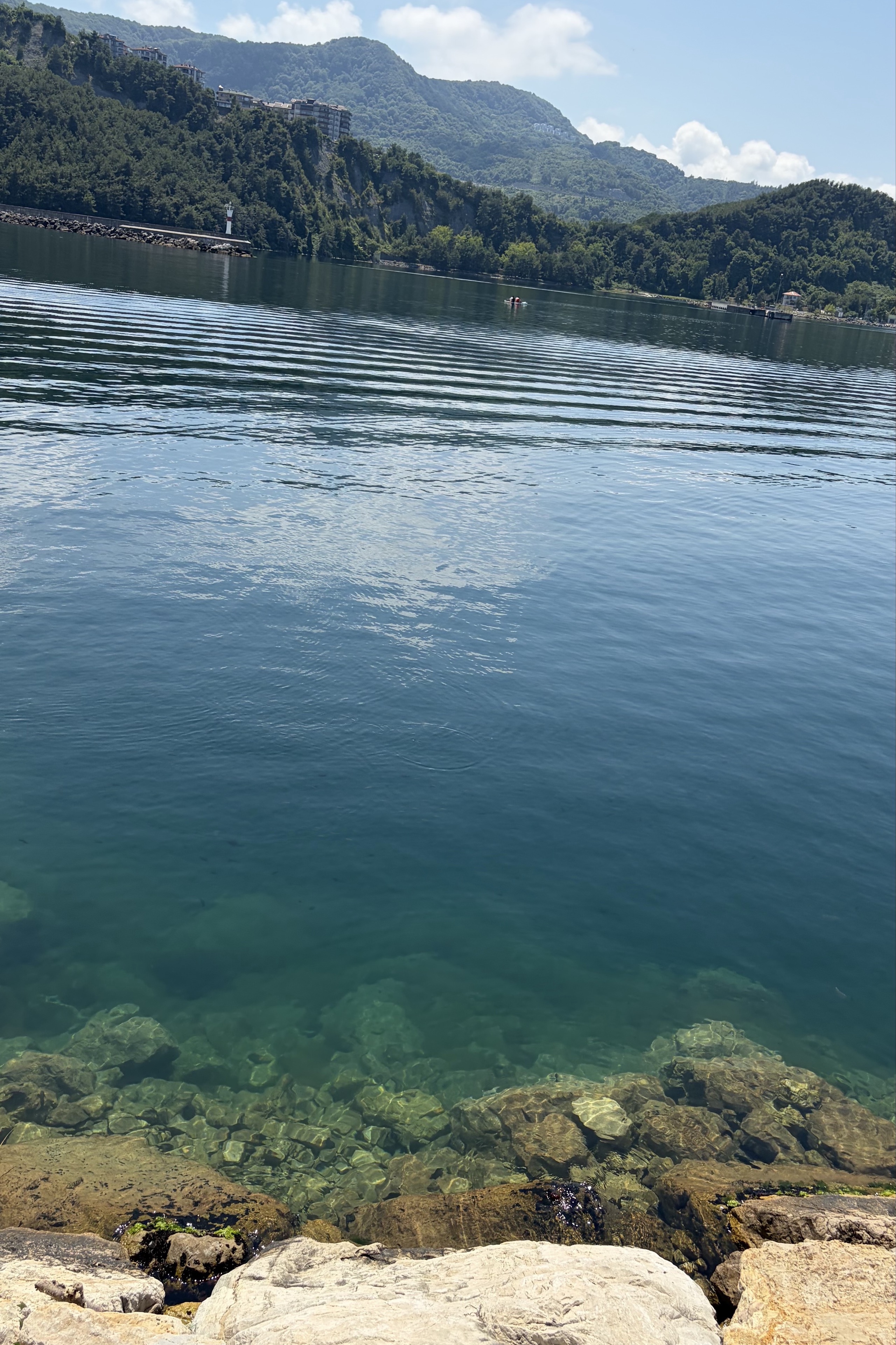Eren Ortakcı — photo 6 on Lushme