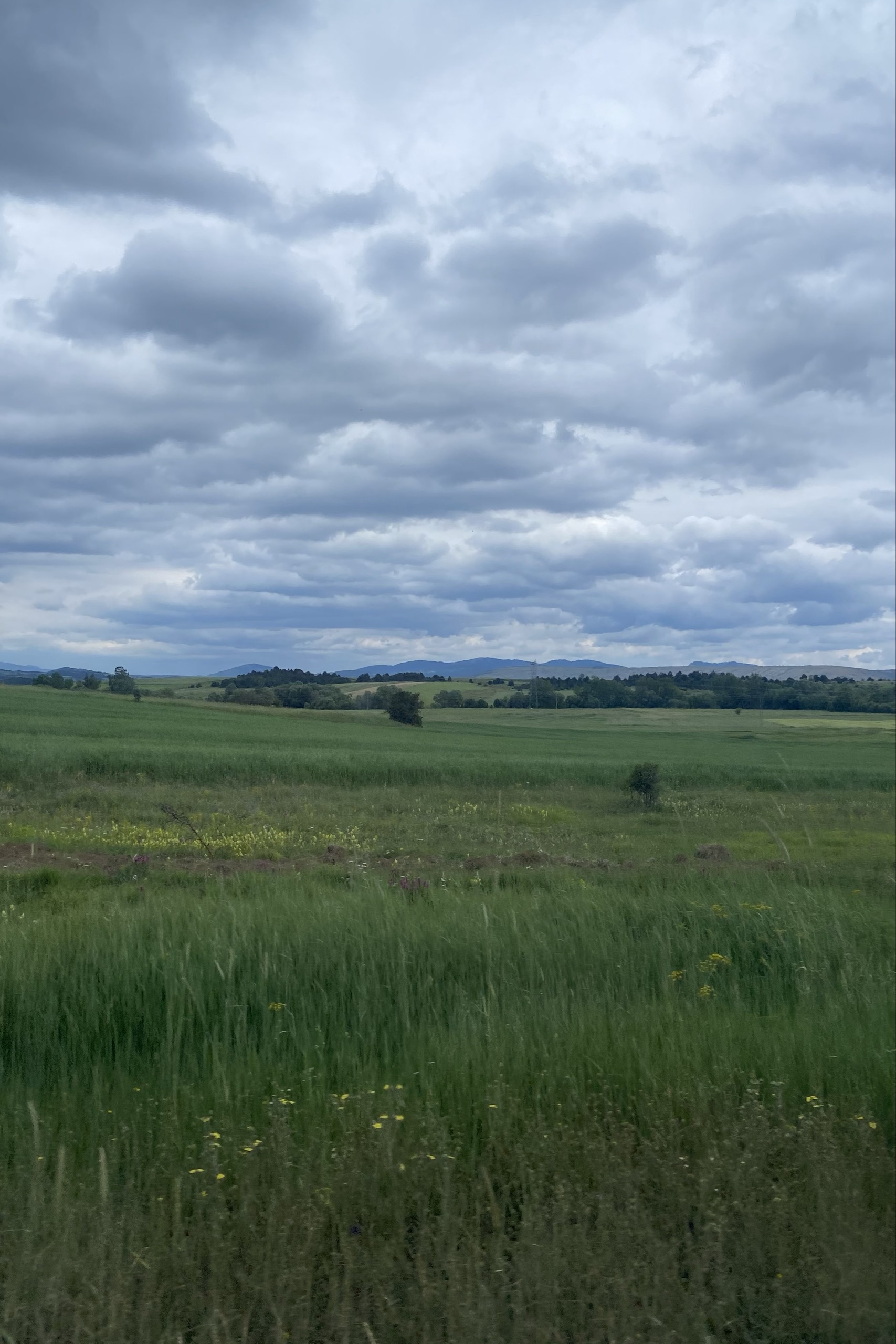 Taçsız Krall0037 — photo 5 on Lushme