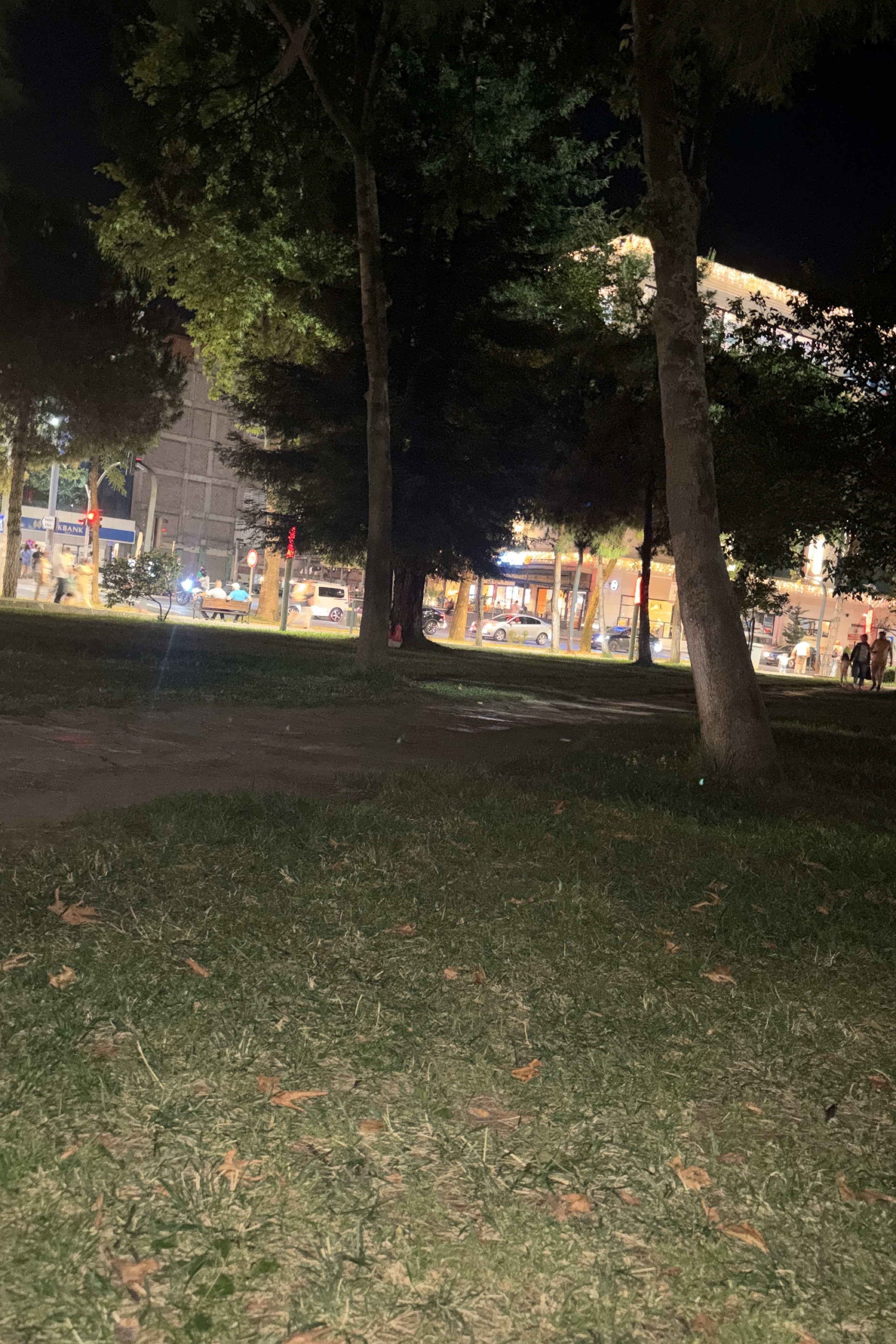 Can Demirel — photo 4 on Lushme