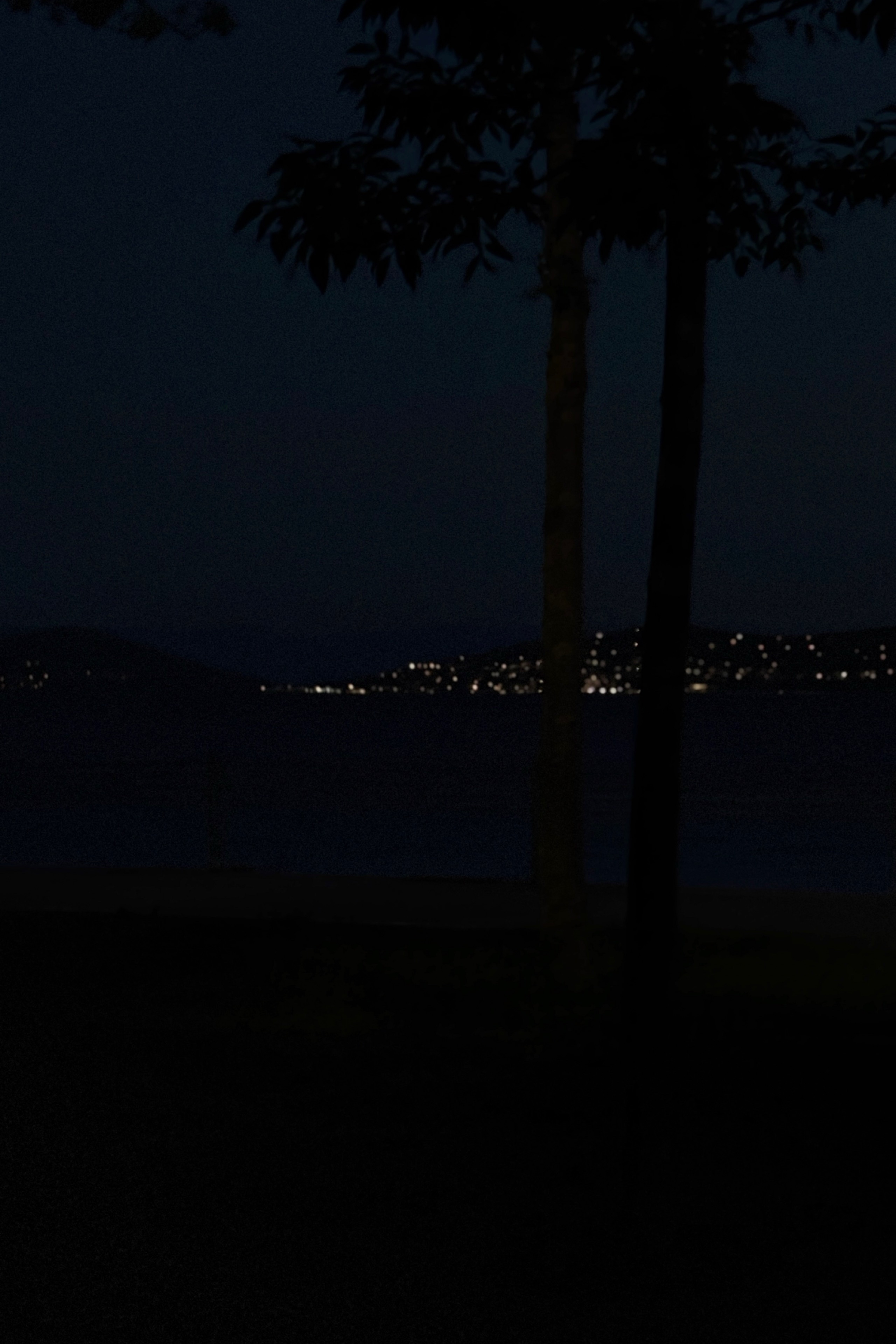 Eren Dikilitaş — photo 3 on Lushme