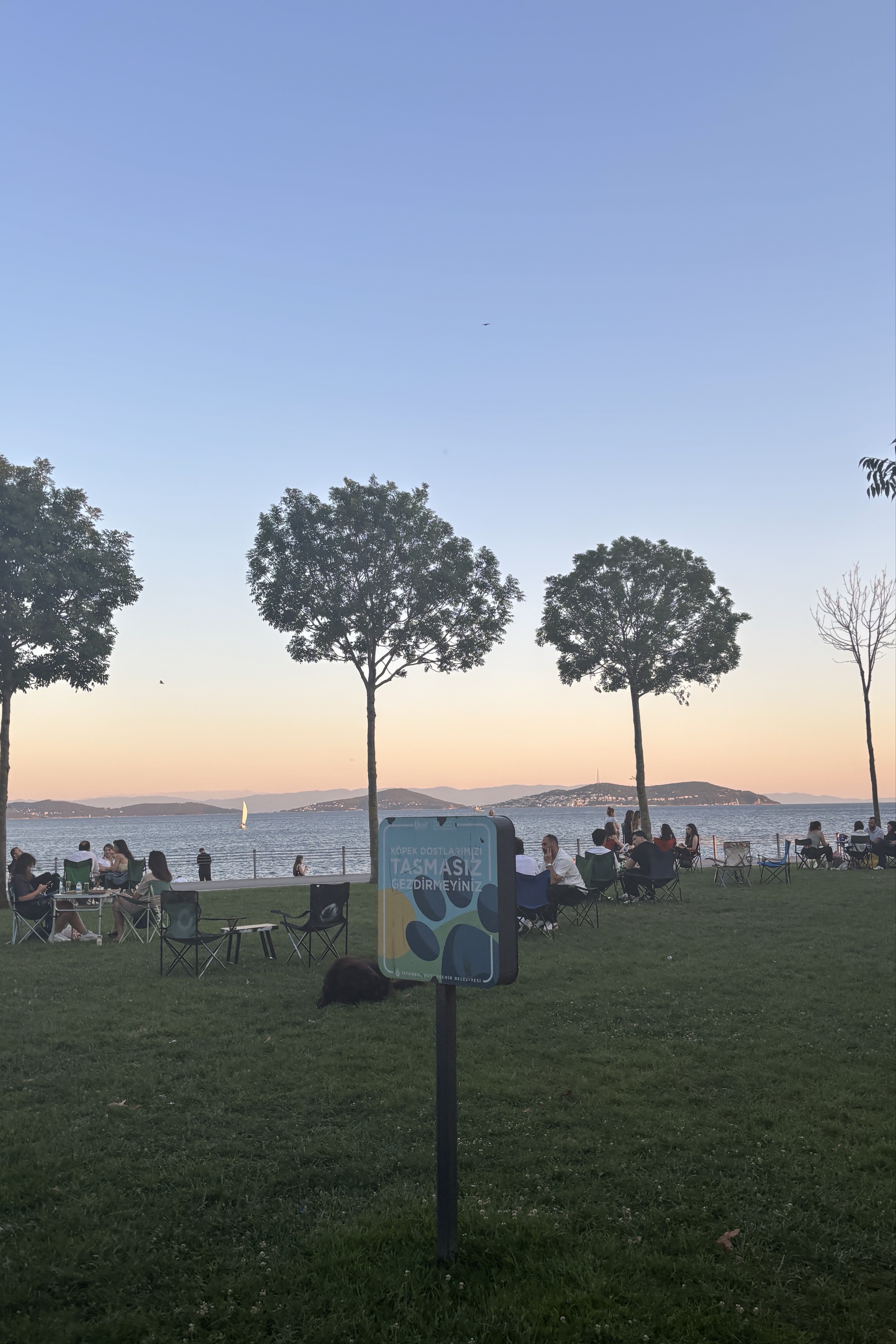 Eren Dikilitaş — photo 4 on Lushme