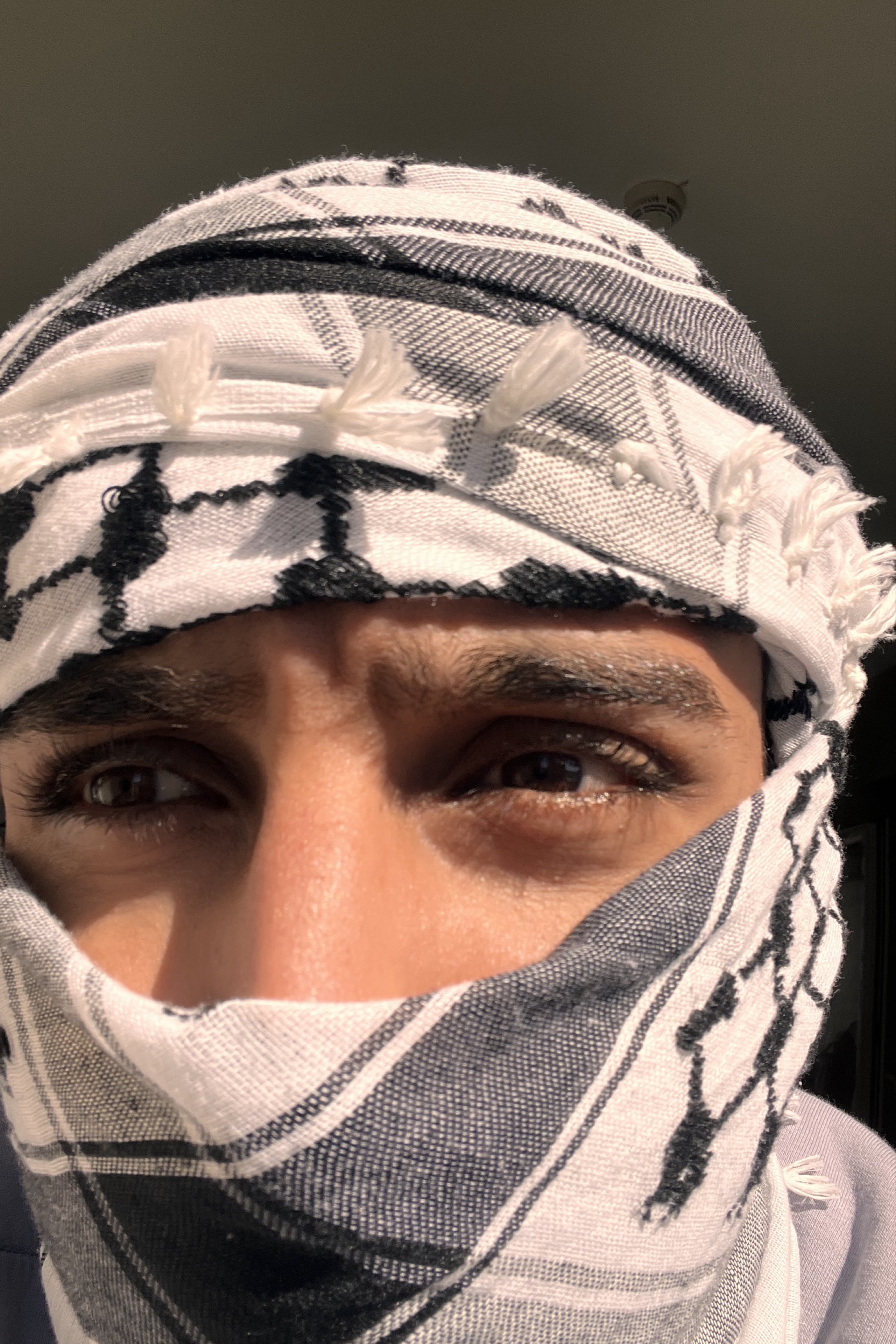 Hussein Elnakib — photo 6 on Lushme