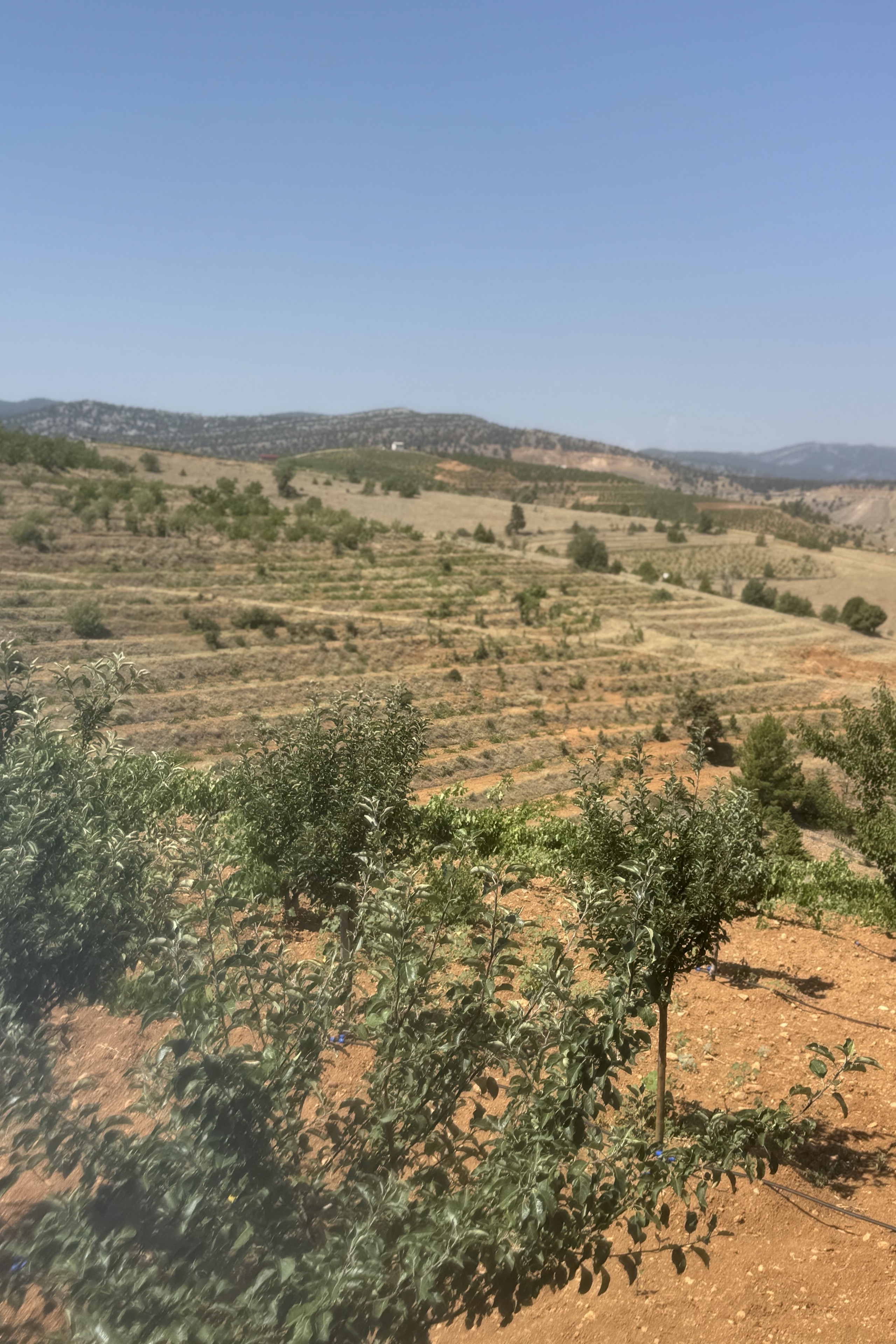 Ali Koç — photo 3 on Lushme