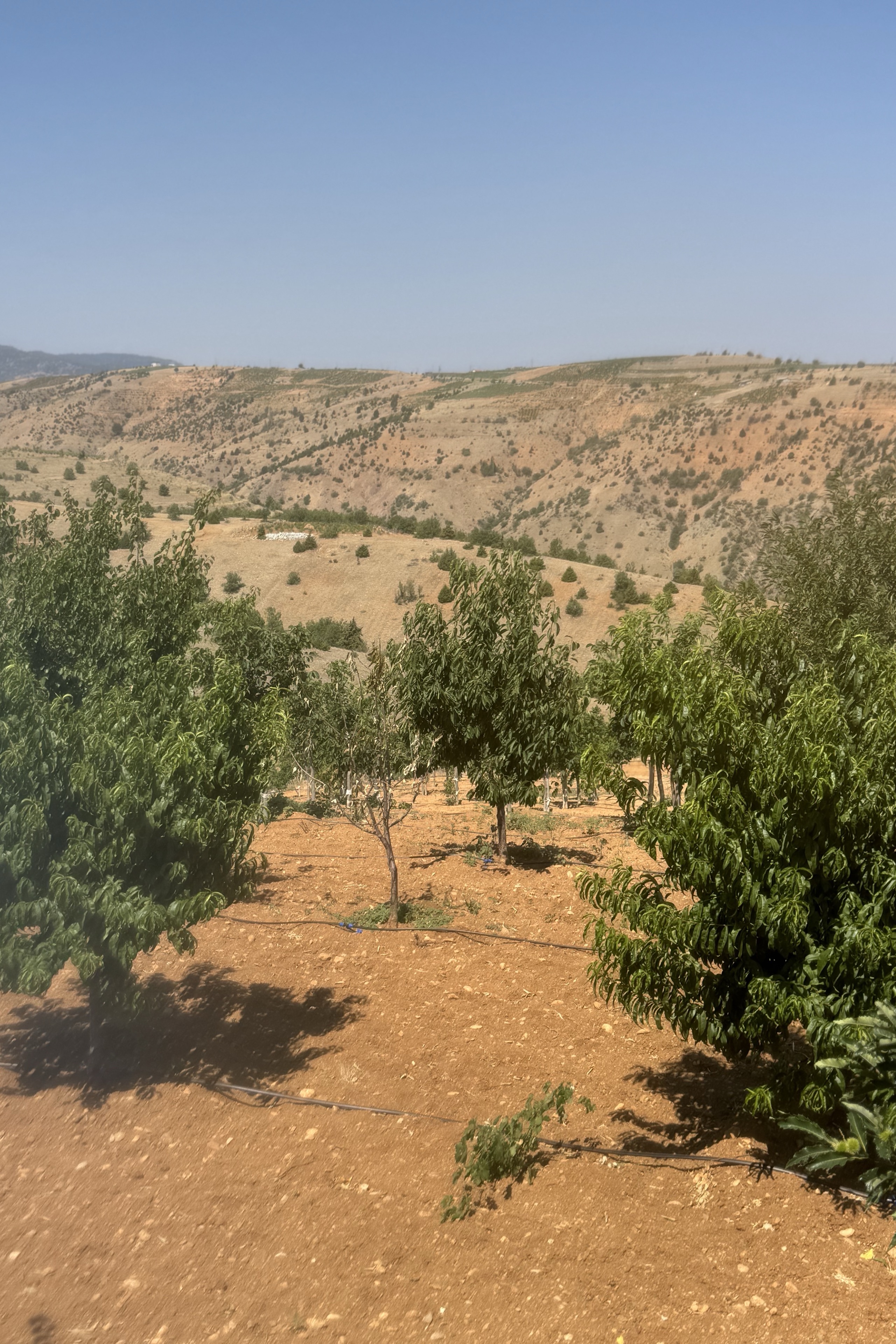 Ali Koç — photo 5 on Lushme