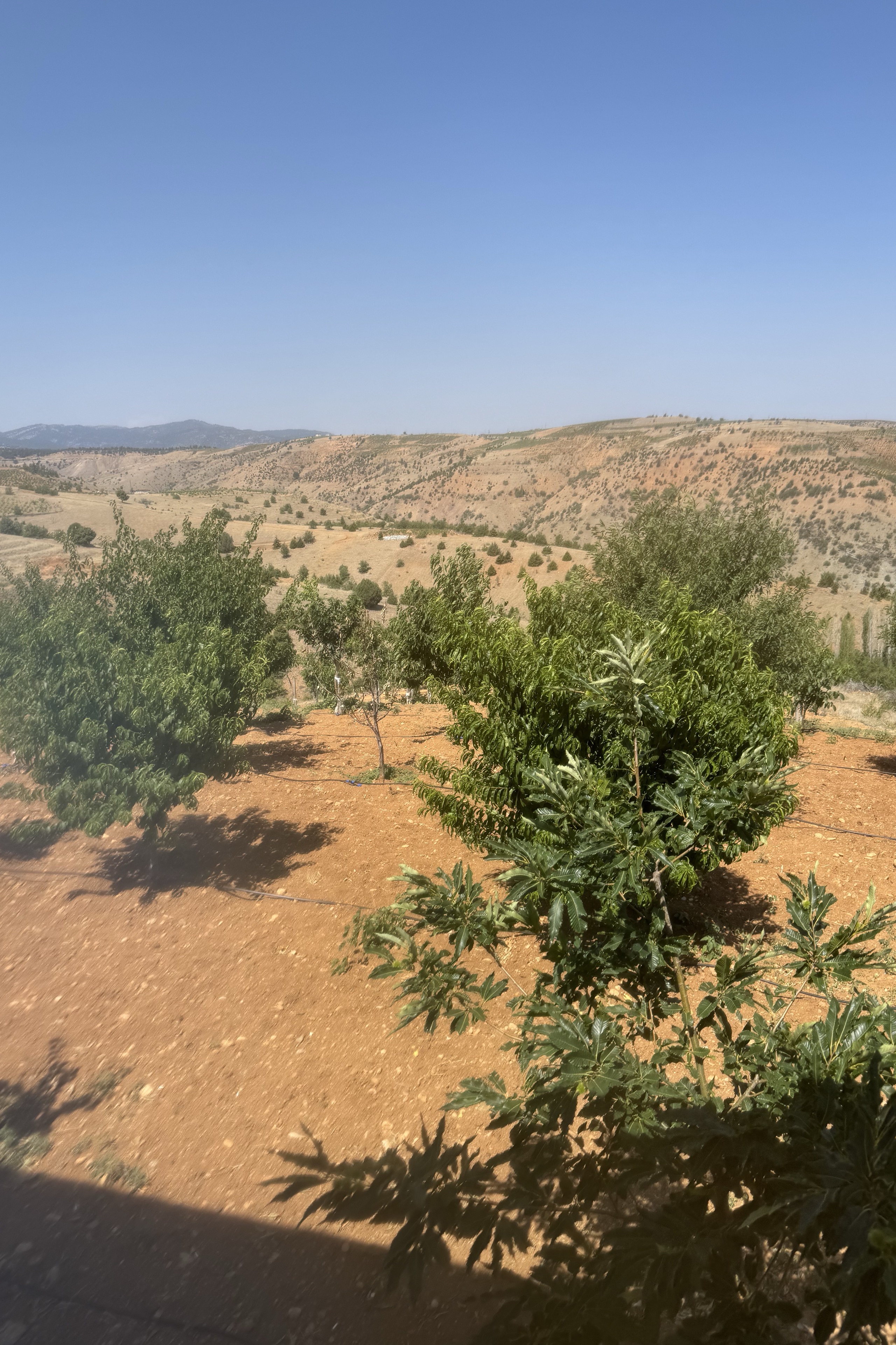 Ali Koç — photo 6 on Lushme