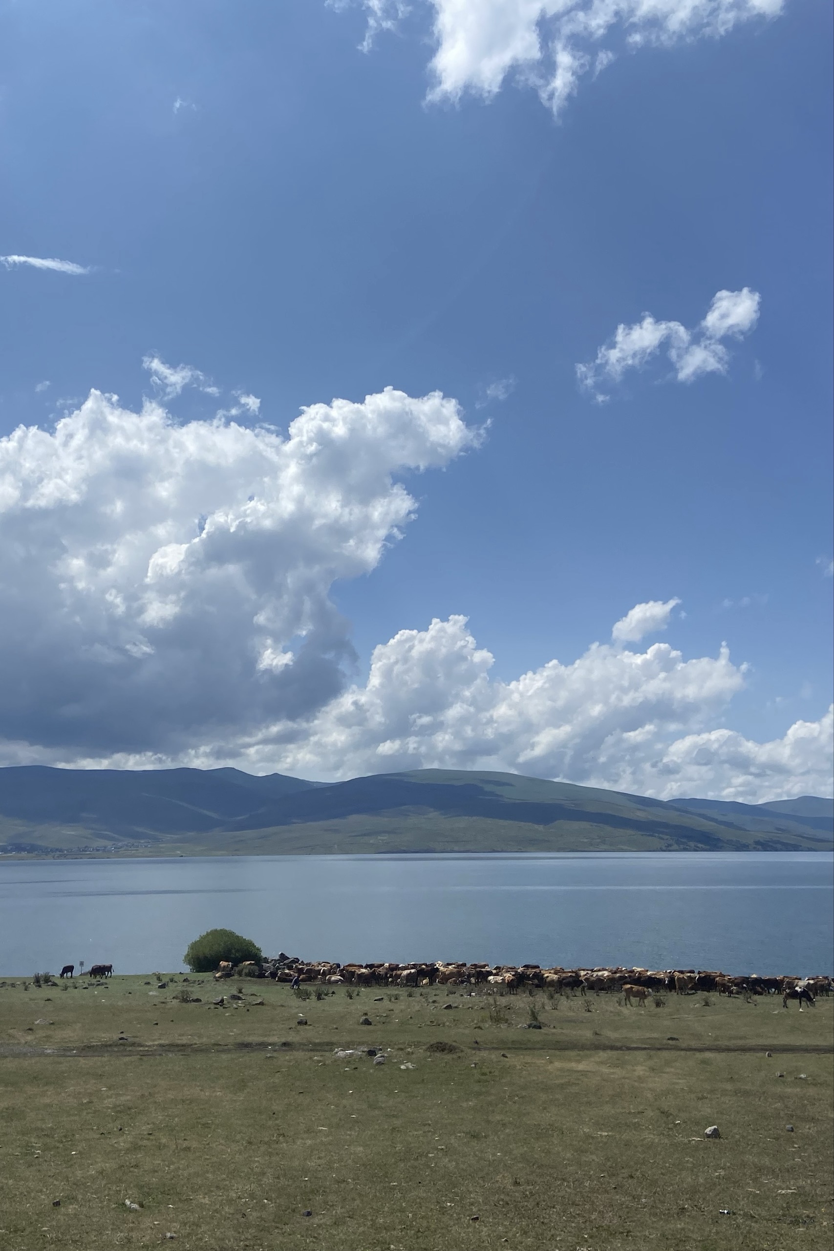 Ali — photo 4 on Lushme
