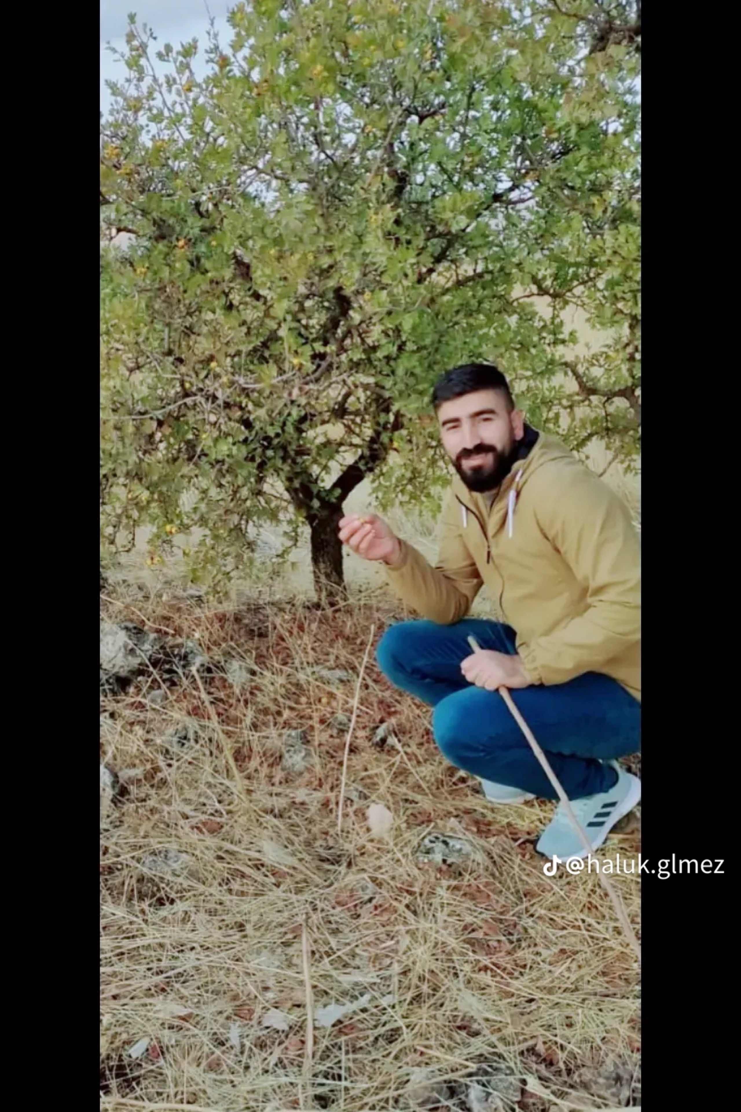 Haluk Gulmez — photo 4 on Lushme