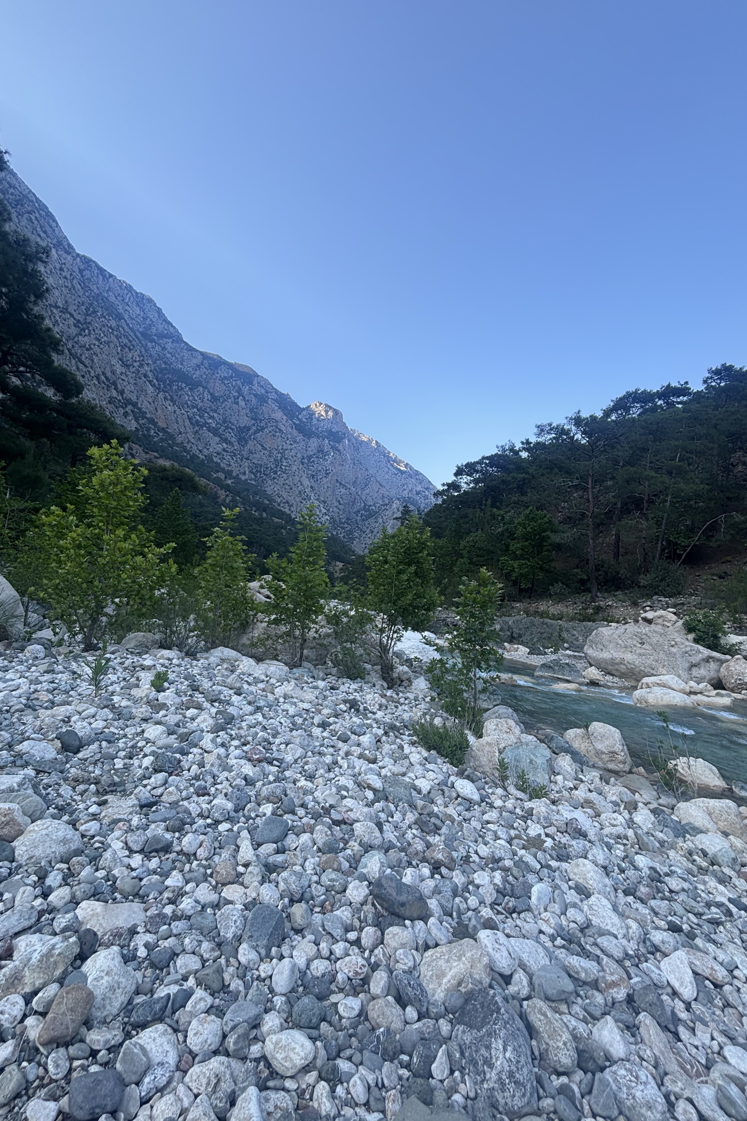 Mehmet — photo 2 on Lushme
