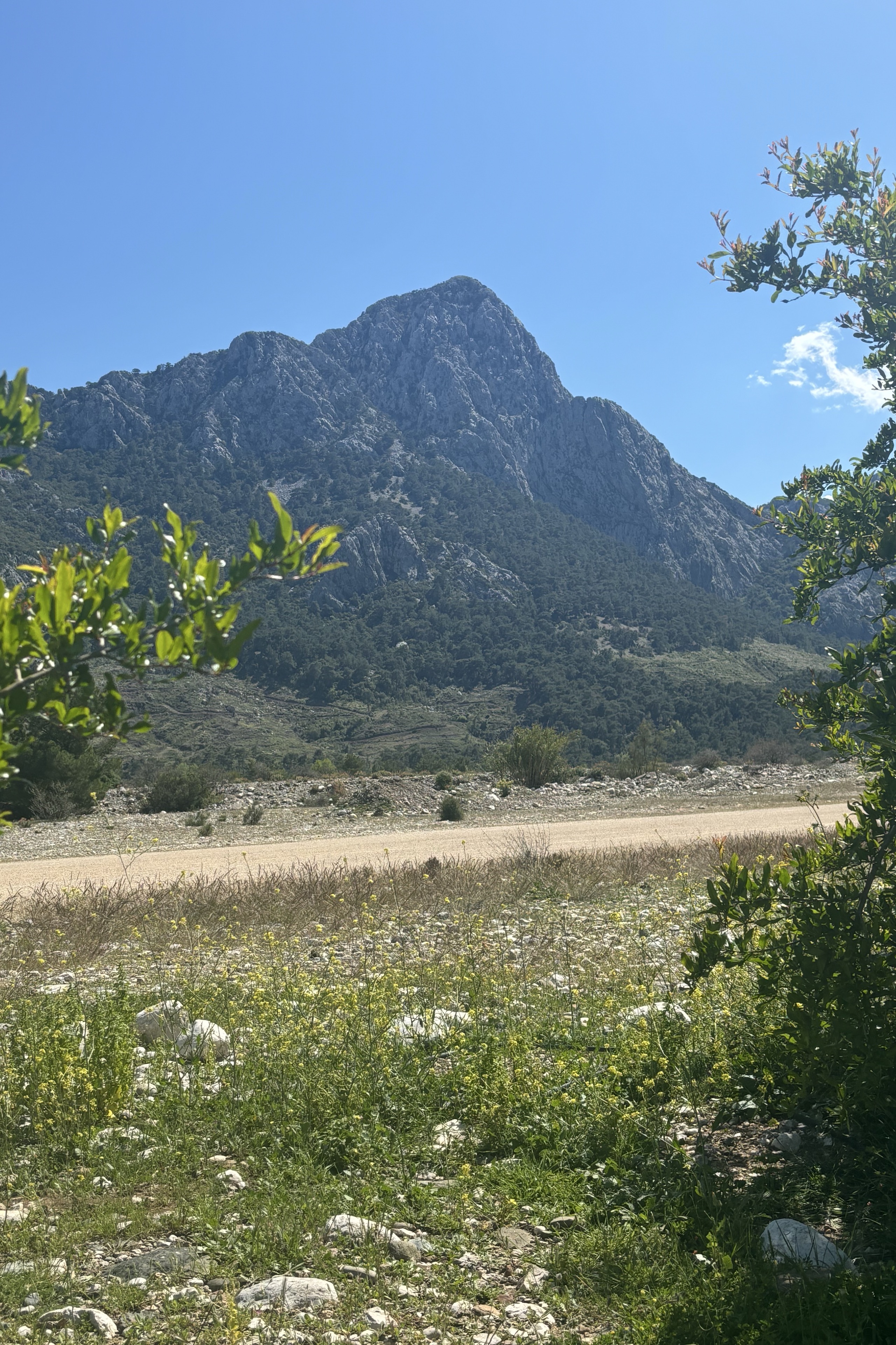 Mehmet — photo 3 on Lushme