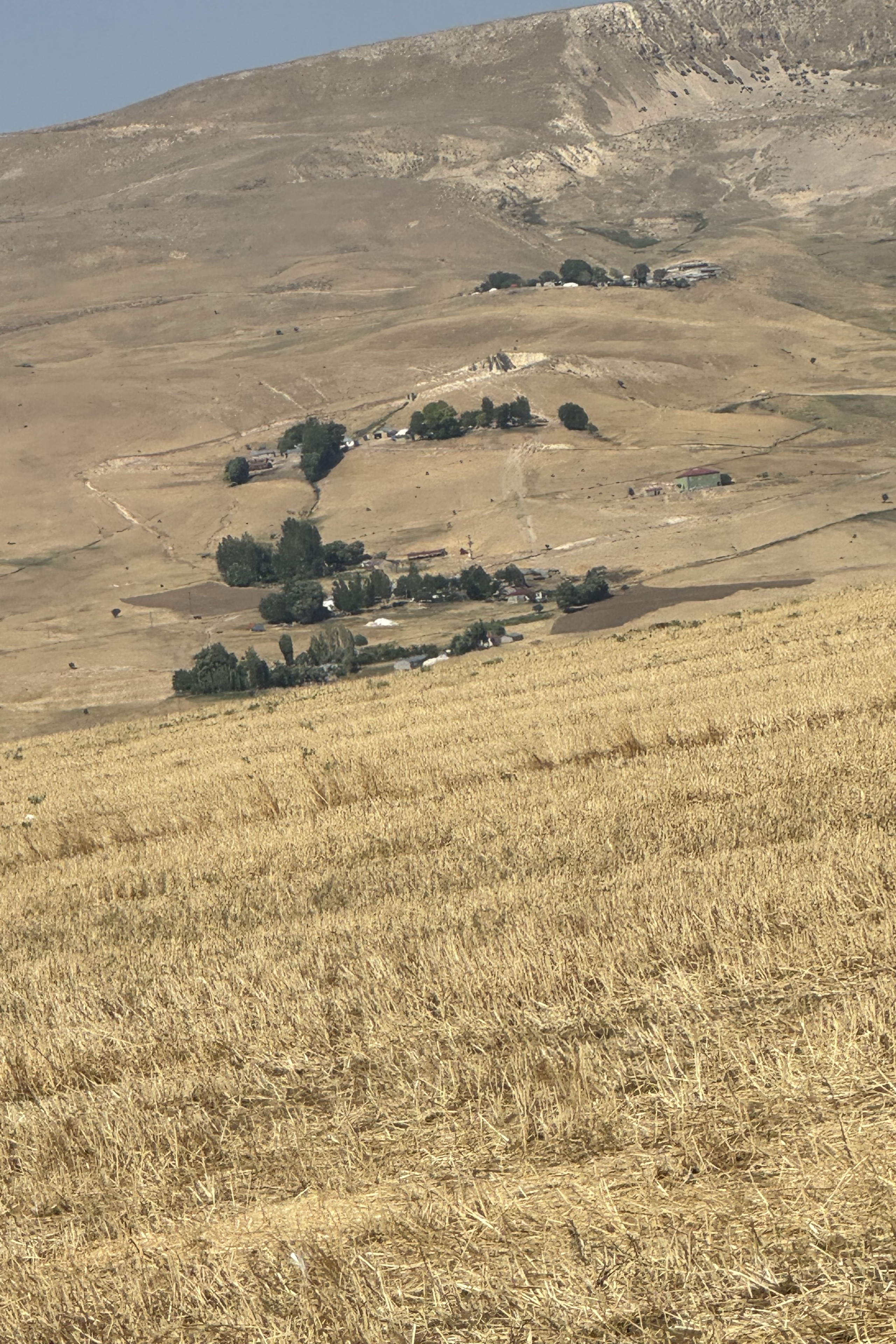 Aslan Toplu — photo 3 on Lushme