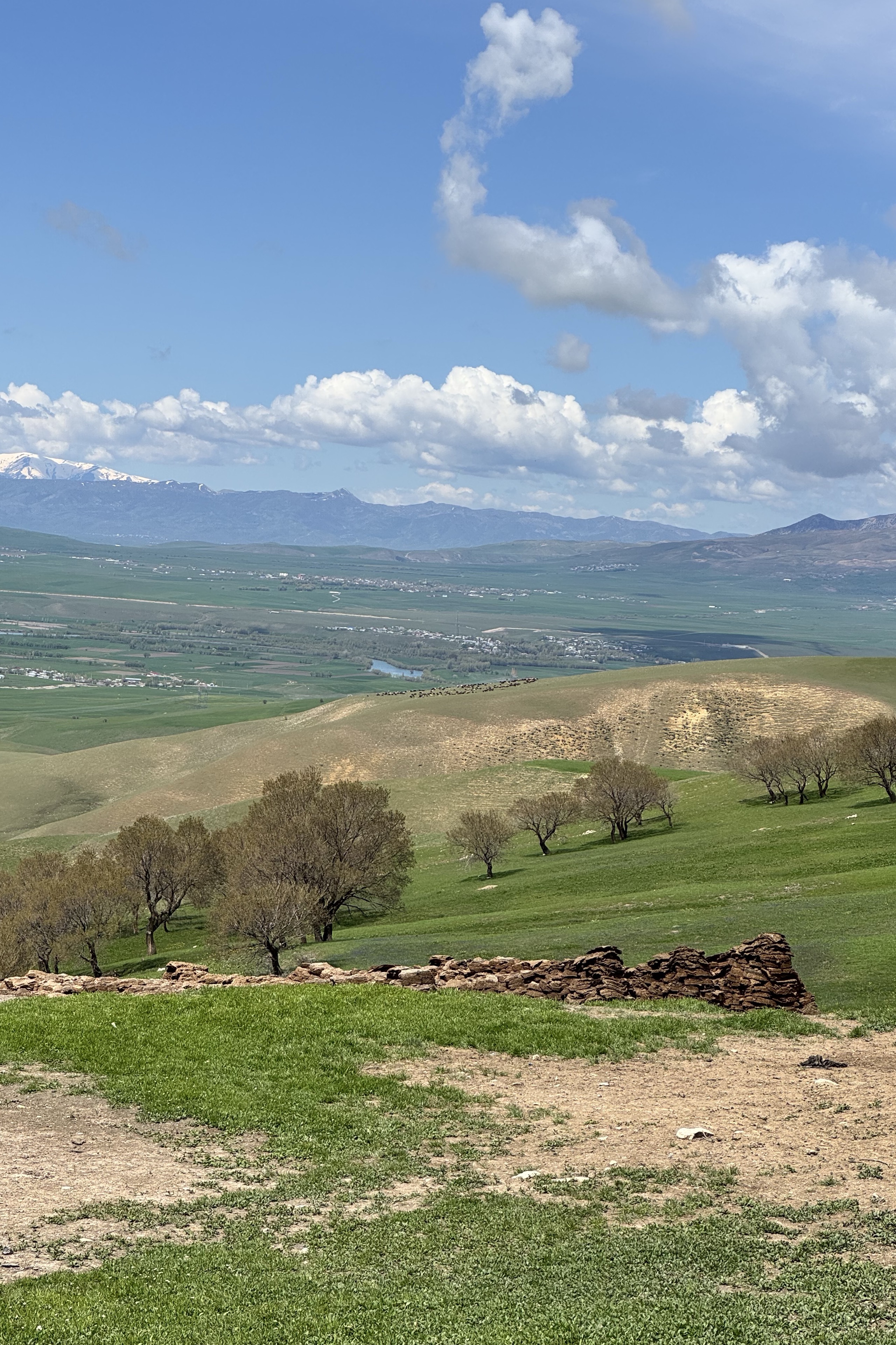 Aslan Toplu — photo 5 on Lushme