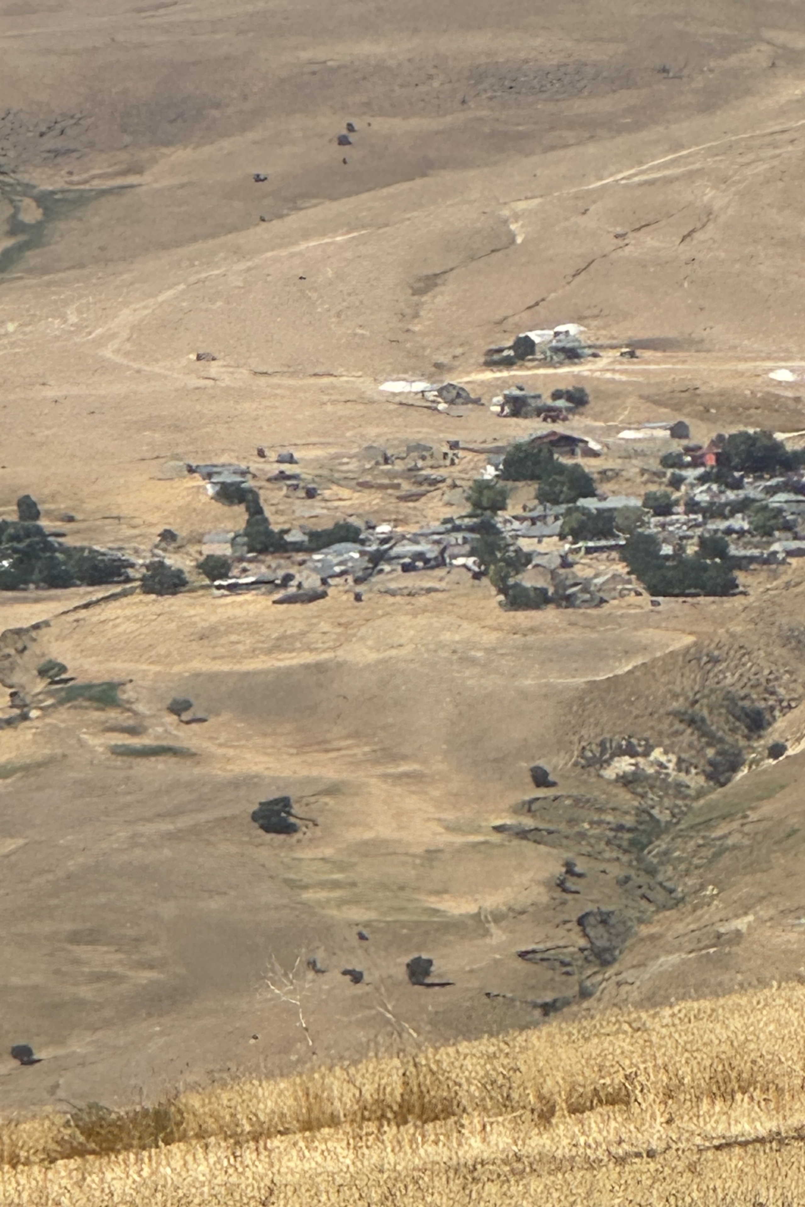 Aslan Toplu — photo 6 on Lushme
