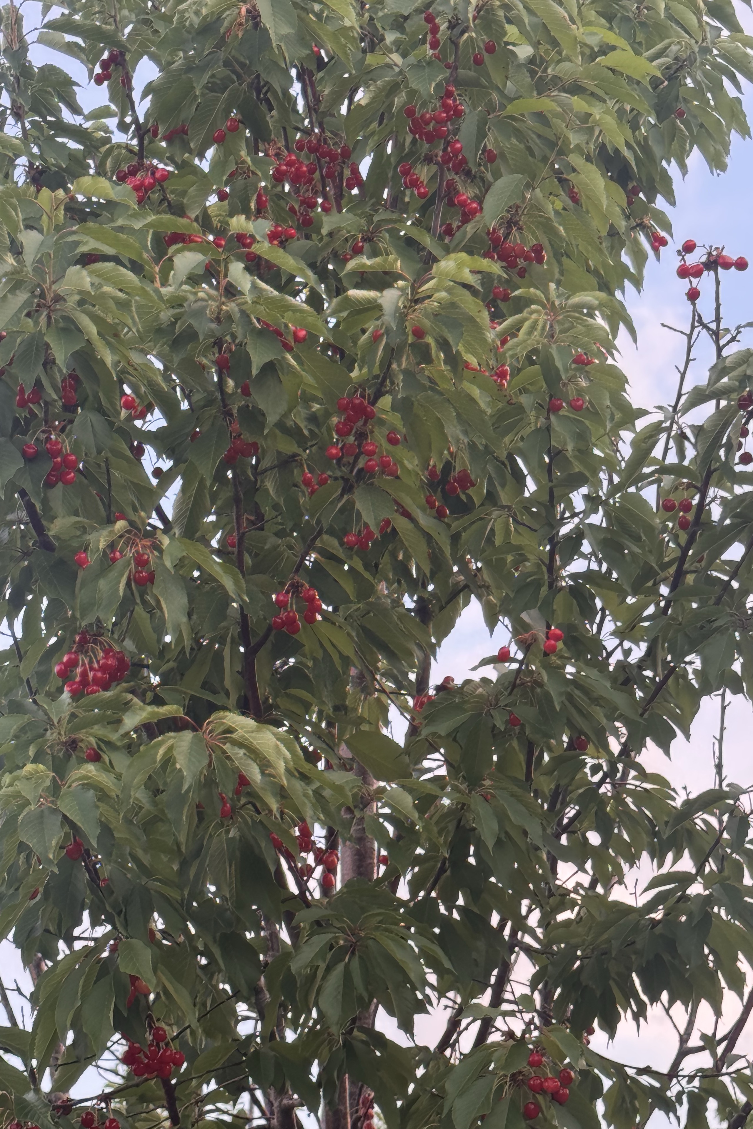 İlyas Efe — photo 4 on Lushme