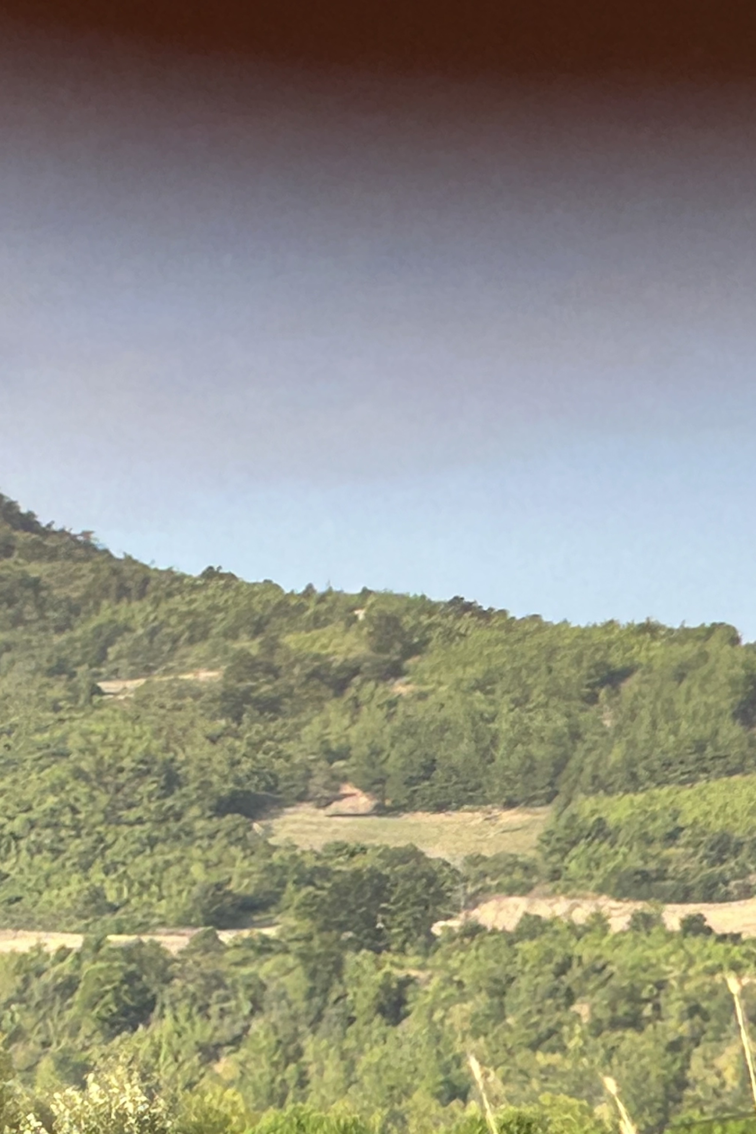 Fatih İnanc — photo 6 on Lushme