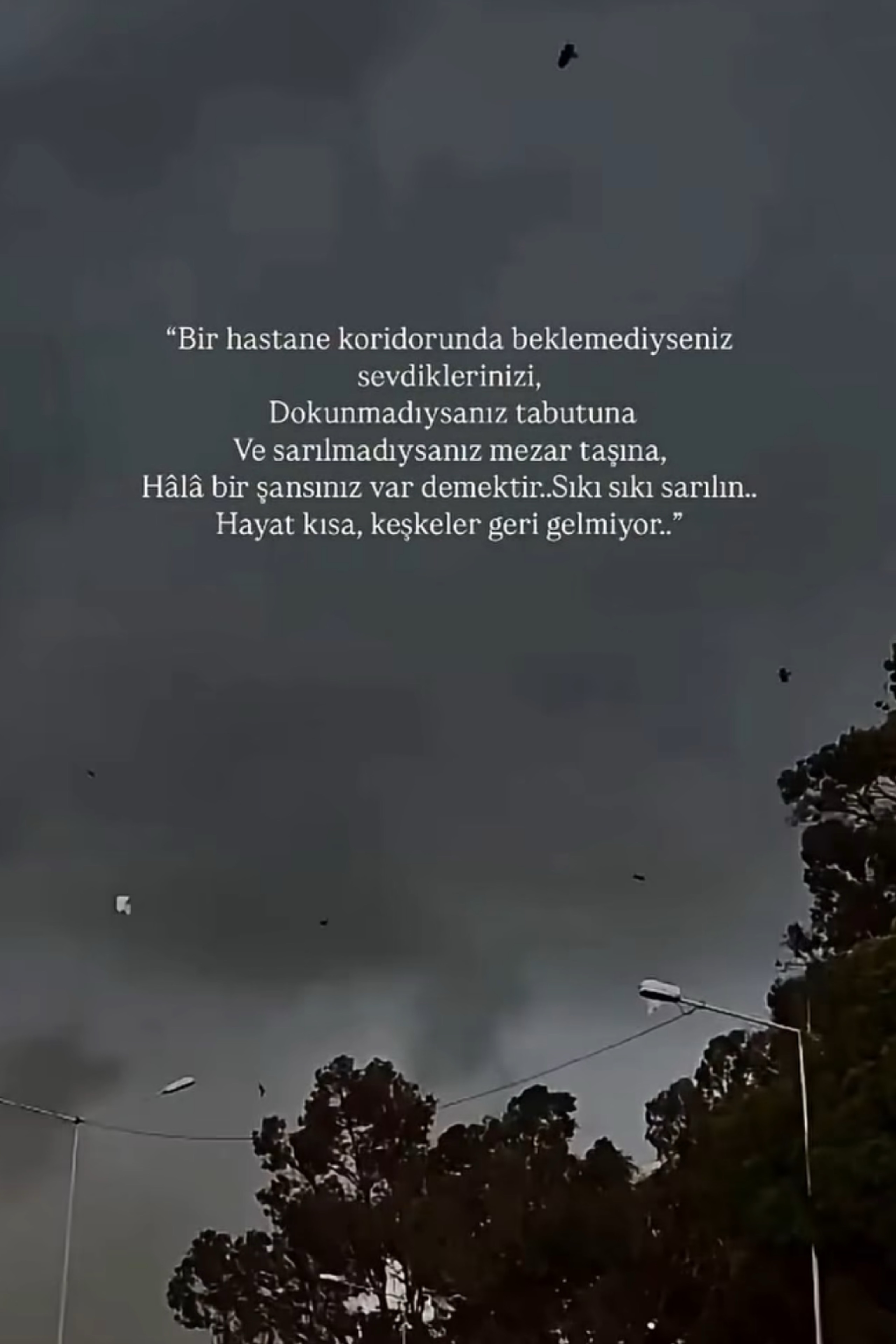 Samet Aşık — photo 6 on Lushme