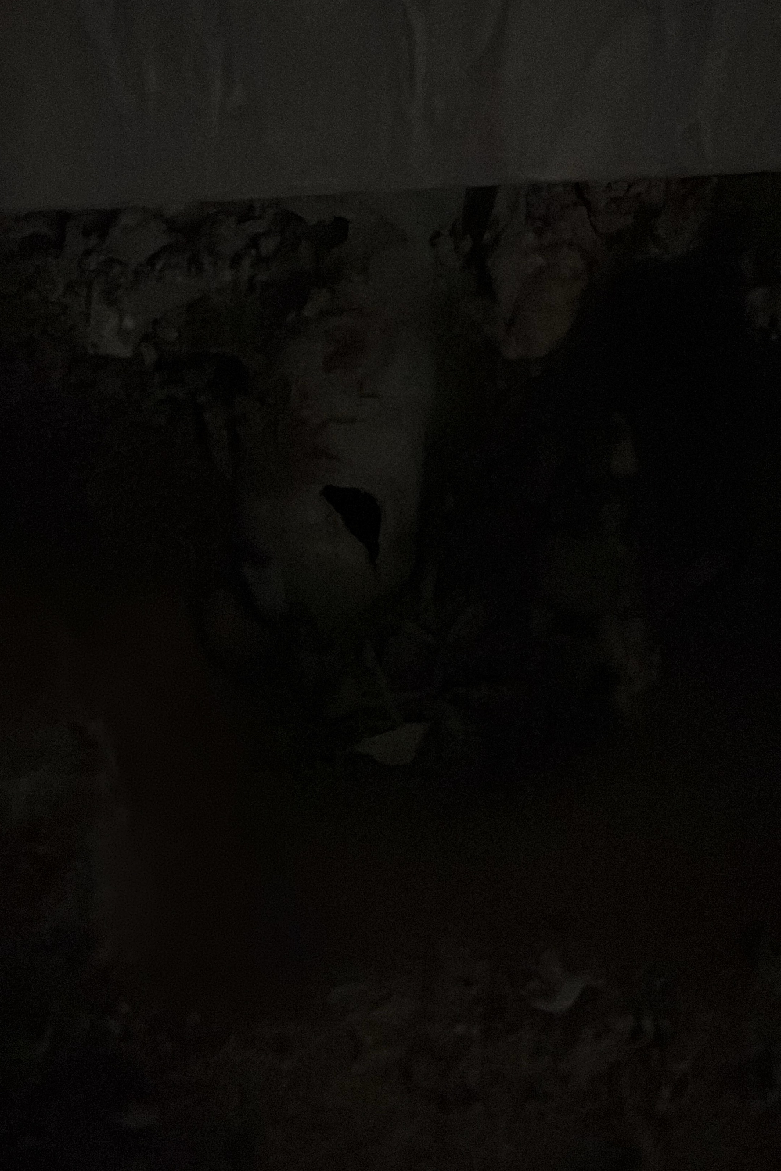 Abdurrahman Tekir — photo 3 on Lushme