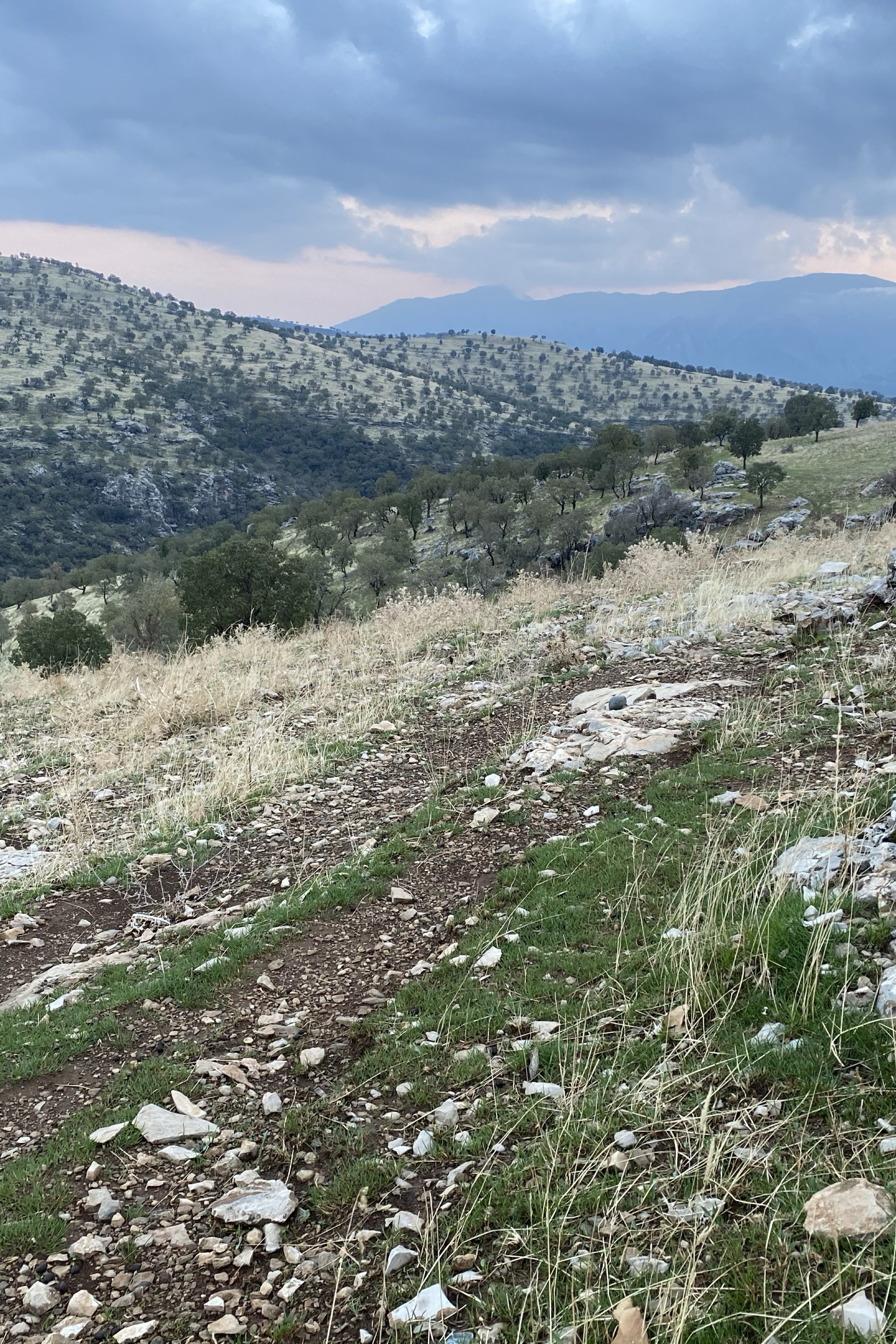 Sabri Barzani — photo 3 on Lushme